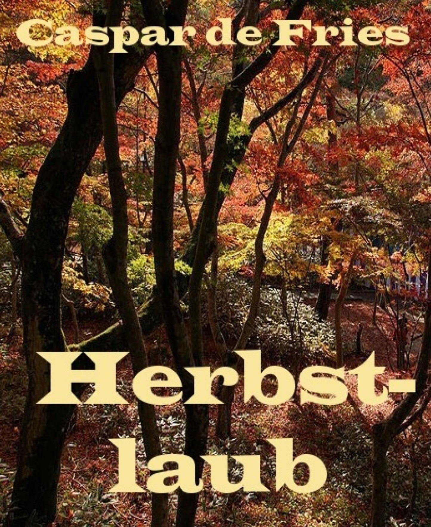 Herbstlaub: Die Abenteuer des jungen Kasper