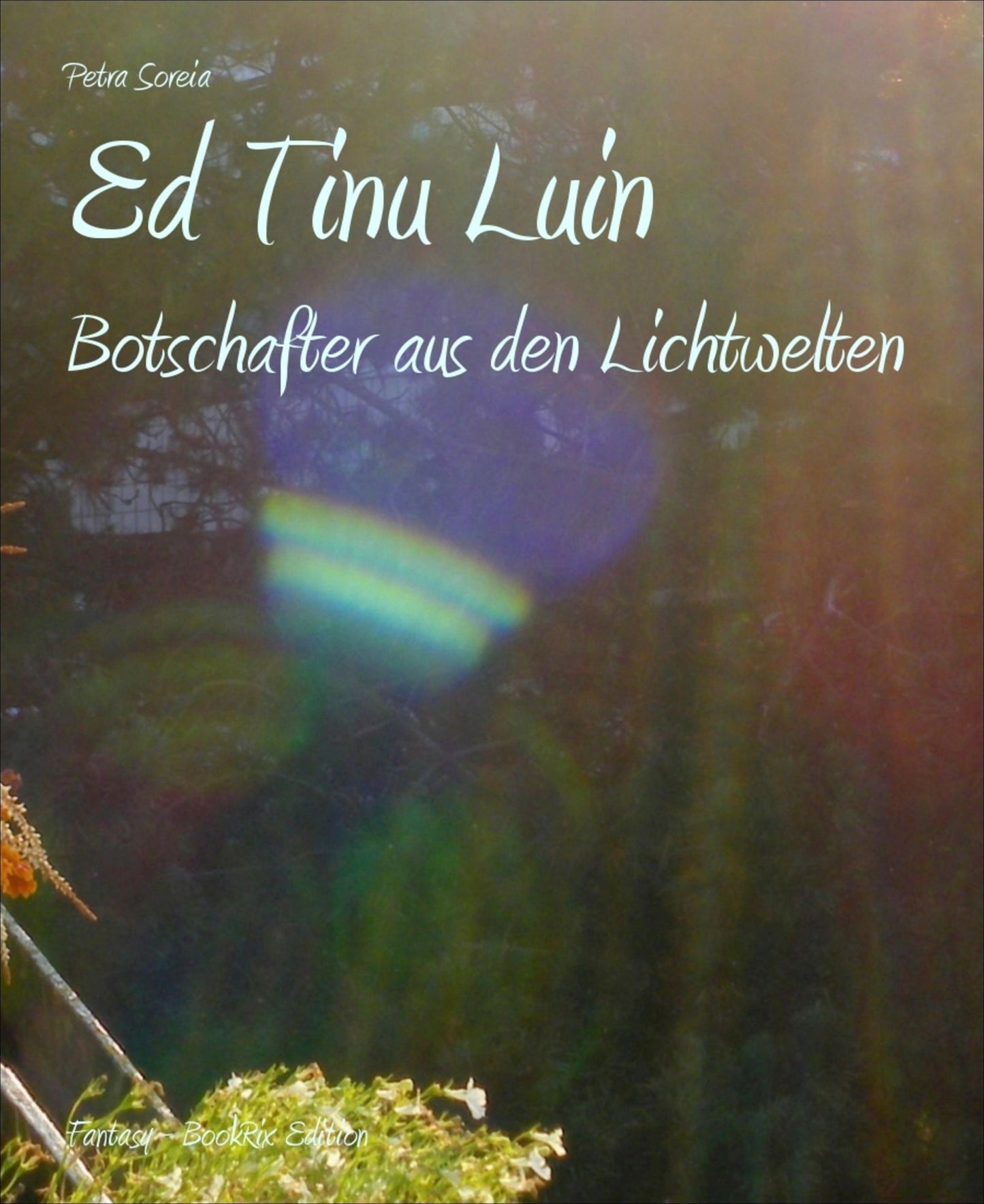 Ed Tinu Luin: Botschafter aus den Lichtwelten