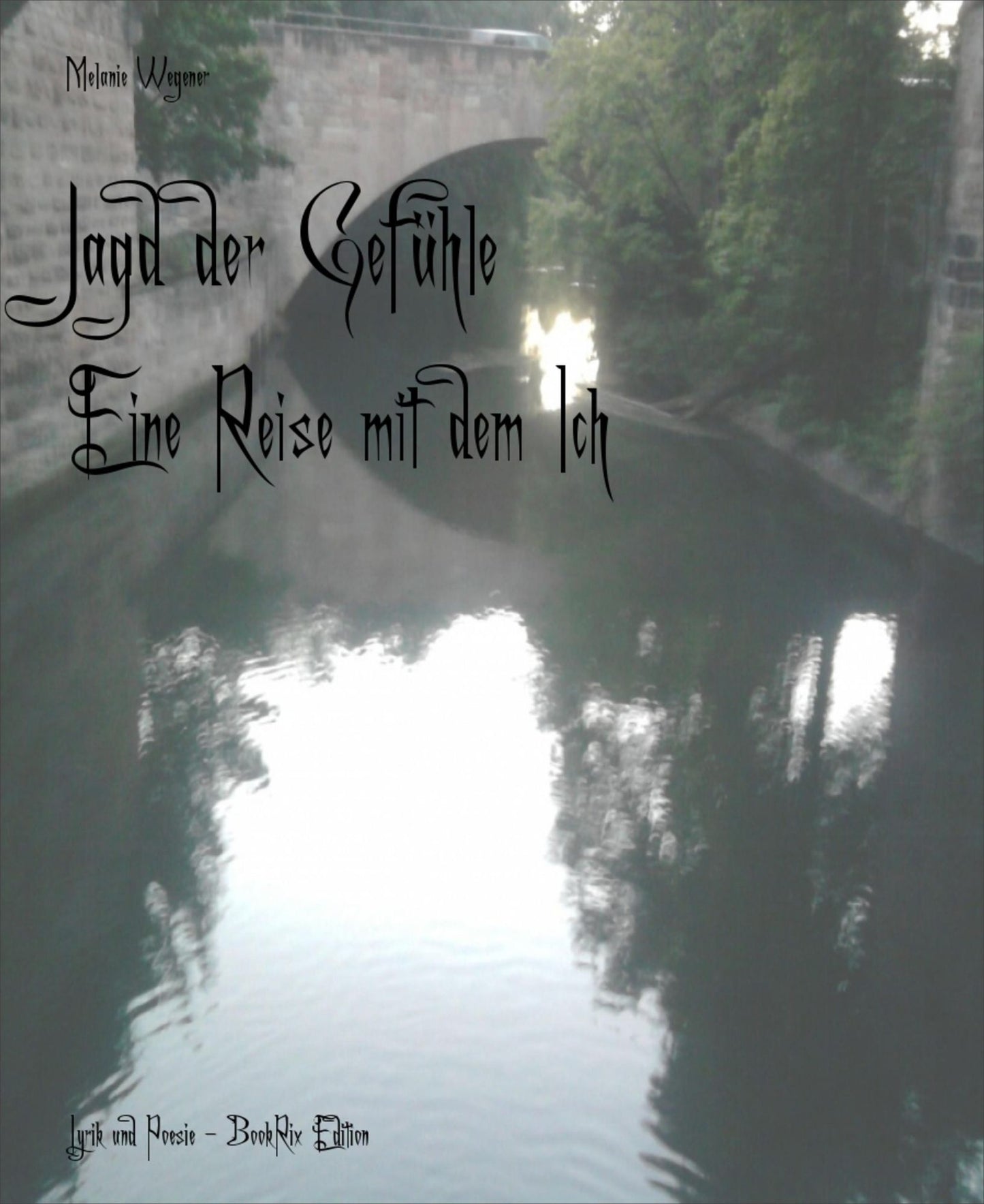 Jagd der Gefühle: Eine Reise mit dem Ich