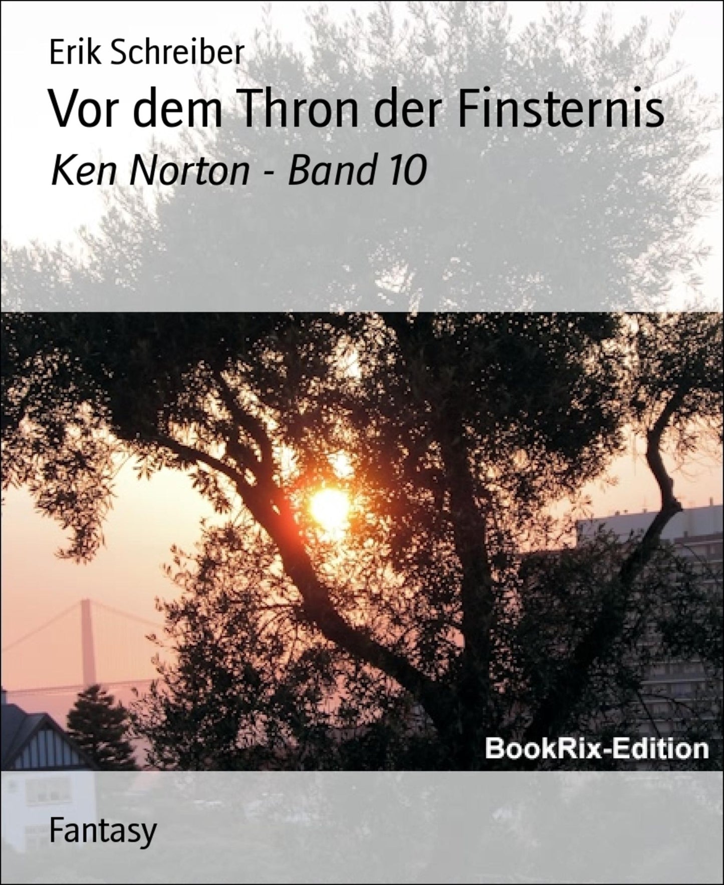 Vor dem Thron der Finsternis: Ken Norton - Band 10