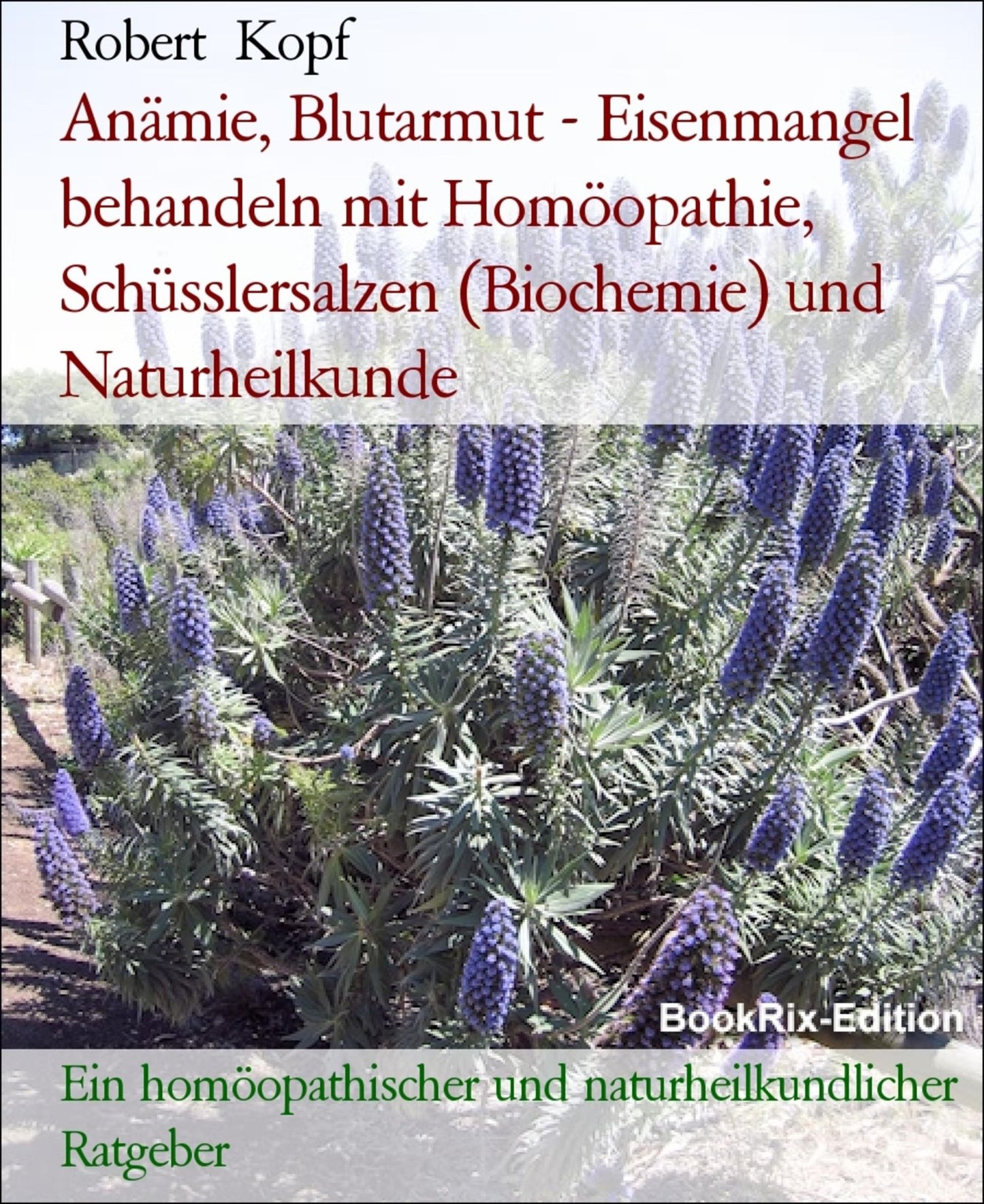Anämie, Blutarmut - Eisenmangel behandeln mit Homöopathie, Schüsslersalzen (Biochemie) und Naturheilkunde: Ein homöopathischer, biochemischer und naturheilkundlicher Ratgeber