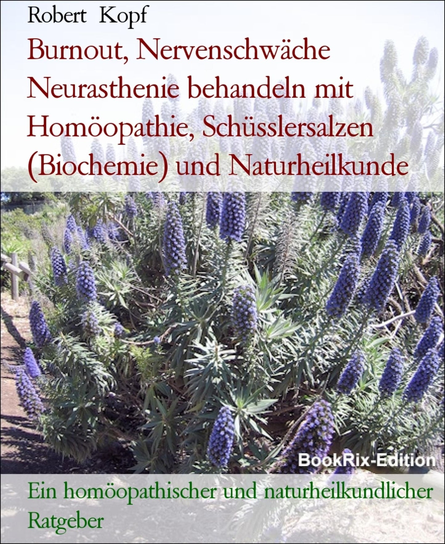 Burnout, Nervenschwäche Neurasthenie behandeln mit Homöopathie, Schüsslersalzen (Biochemie) und Naturheilkunde: Ein homöopathischer, biochemischer und naturheilkundlicher Ratgeber