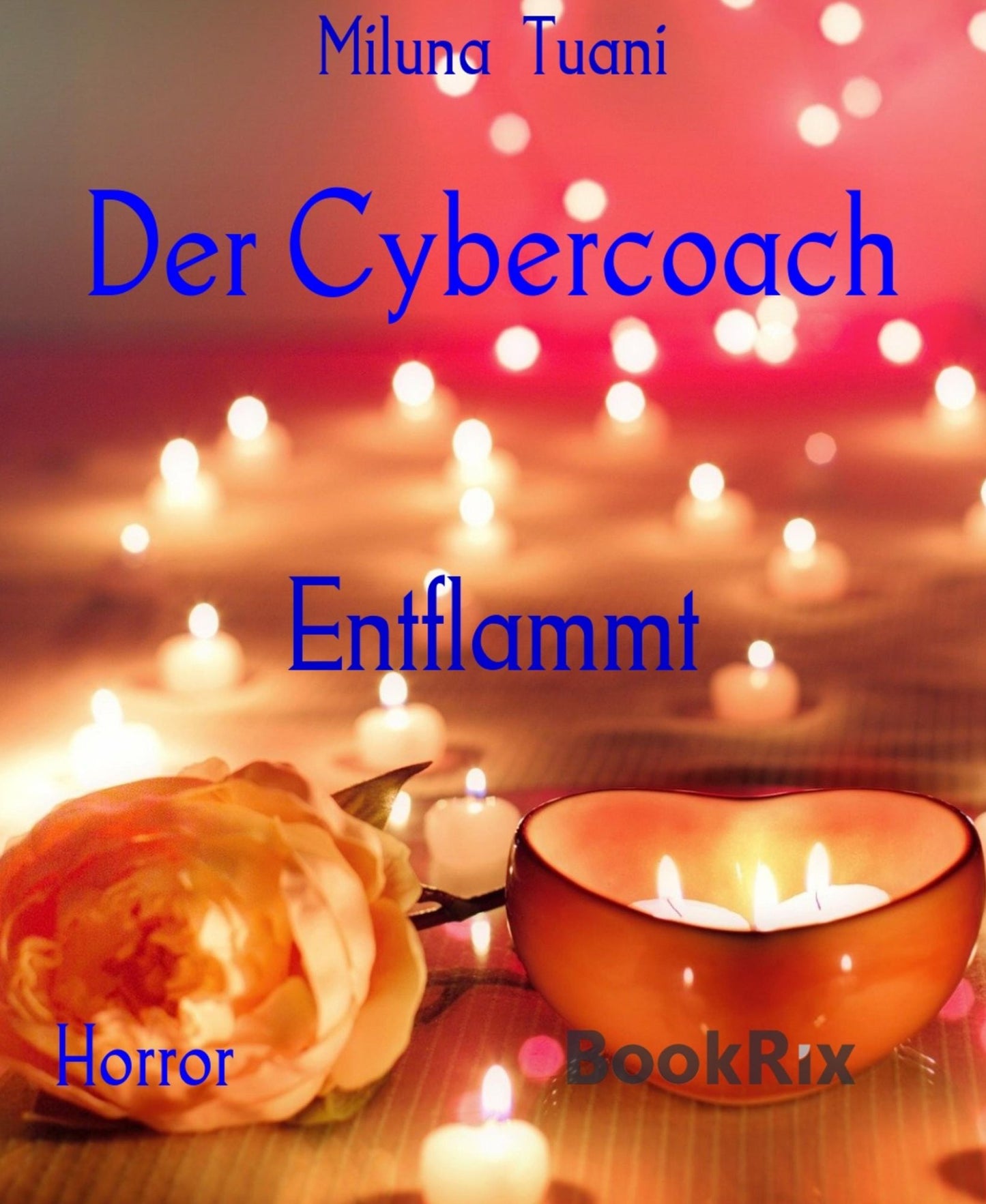 Der Cybercoach: aus der Reihe "Entflammt