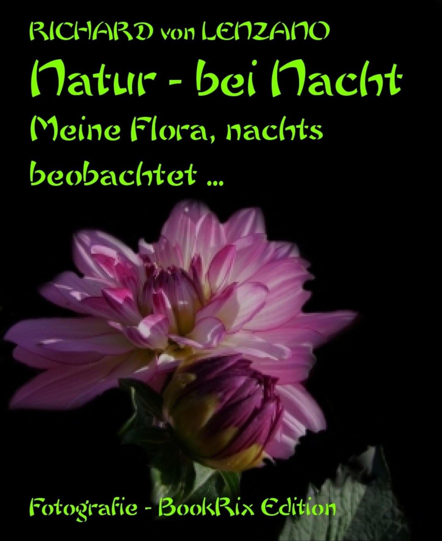 Natur - bei Nacht: Meine Flora, nachts beobachtet ...