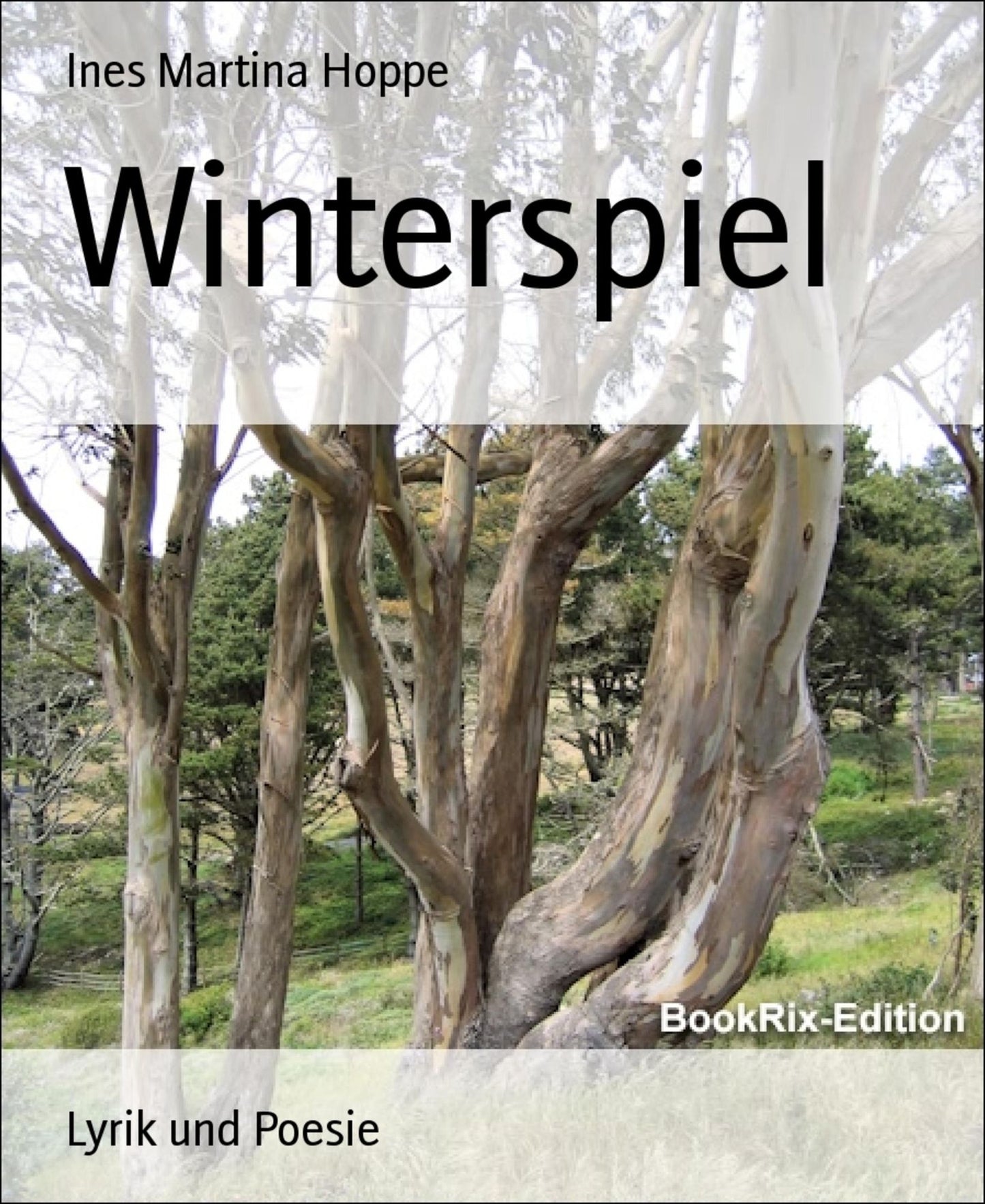 Winterspiel