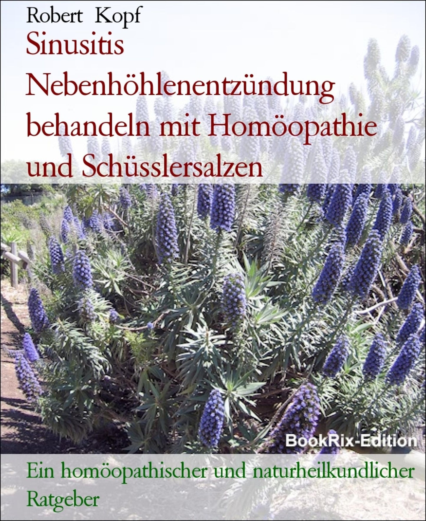 Sinusitis, Nebenhöhlenentzündung - Behandlung mit Homöopathie, Schüsslersalzen (Biochemie) und Naturheilkunde: Ein homöopathischer, biochemischer und naturheilkundlicher Ratgeber
