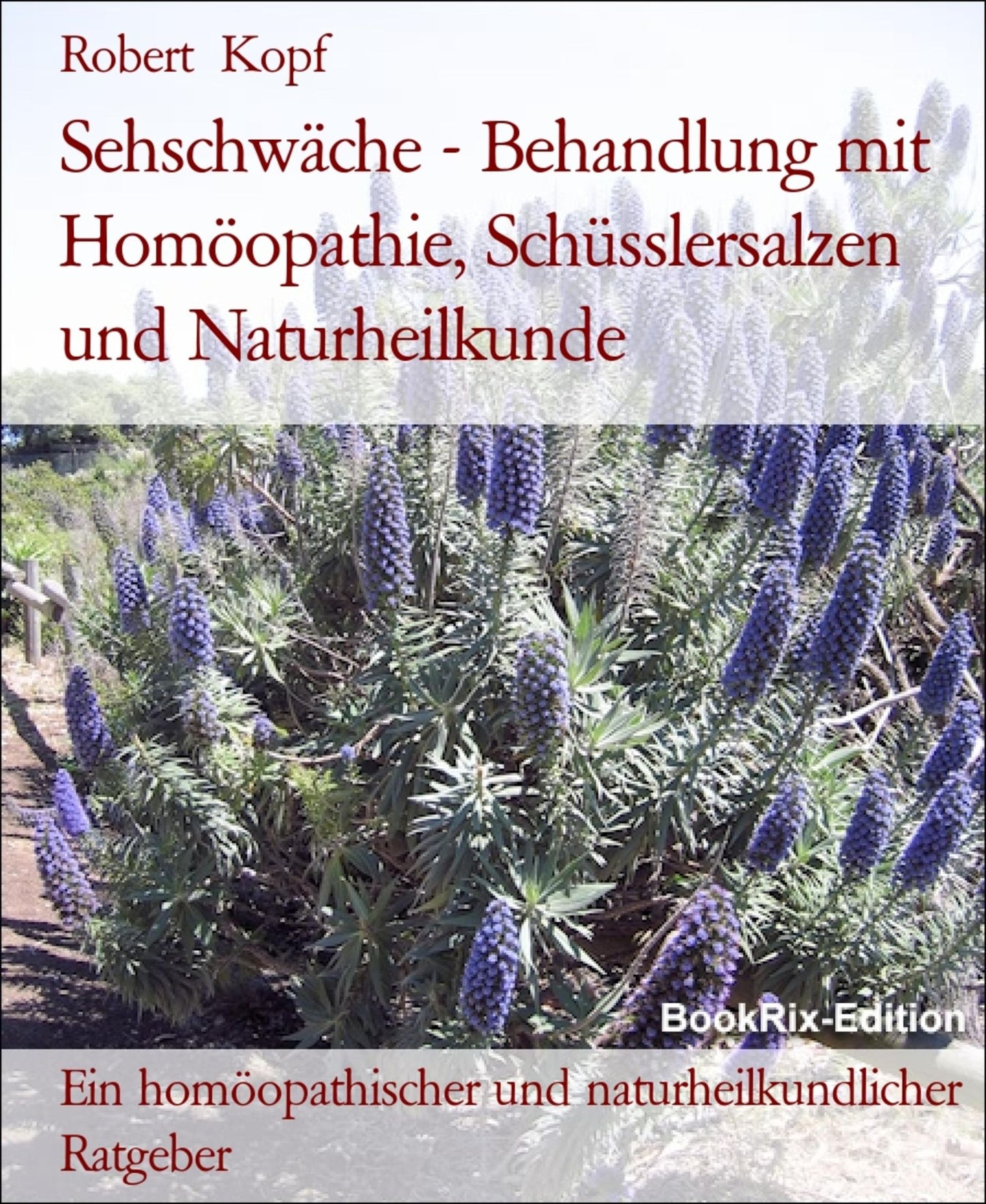 Sehschwäche - Behandlung mit Homöopathie, Schüsslersalzen (Biochemie) und Naturheilkunde: Ein homöopathischer, biochemischer und naturheilkundlicher Ratgeber