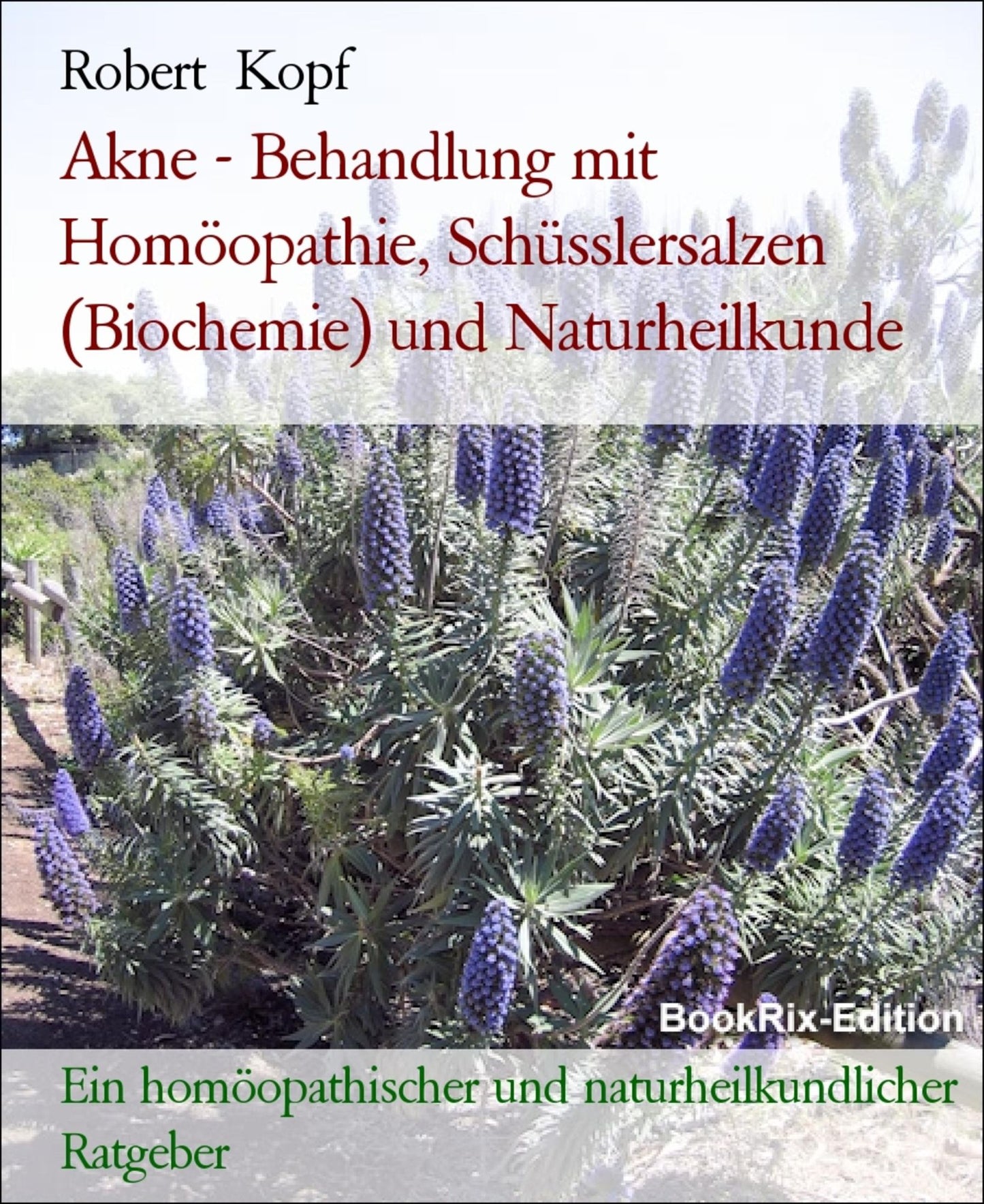 Akne - Behandlung mit Homöopathie, Schüsslersalzen (Biochemie) und Naturheilkunde: Ein homöopathischer, biochemischer und naturheilkundlicher Ratgeber