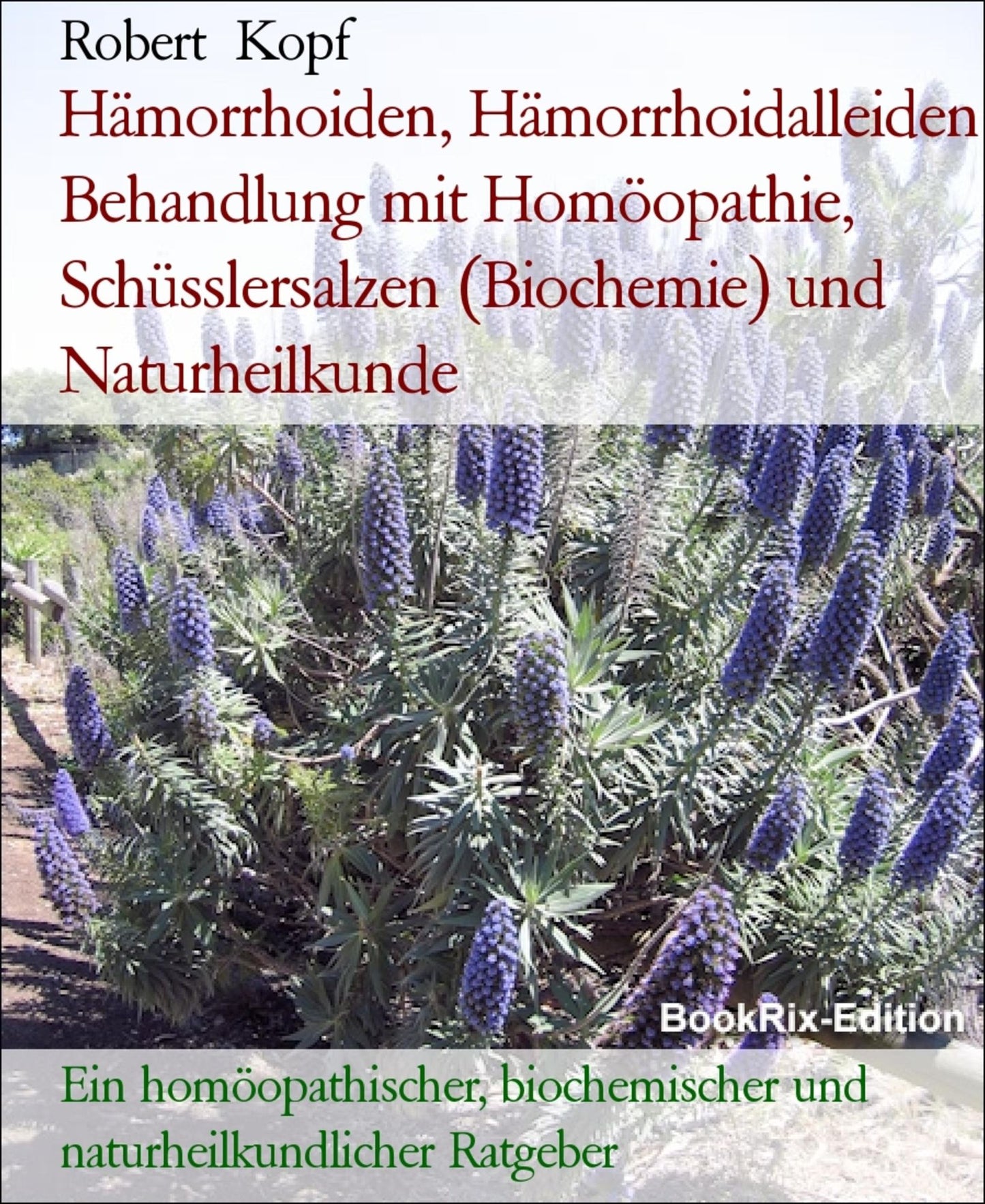 Hämorrhoiden, Hämorrhoidalleiden - Behandlung mit Homöopathie, Schüsslersalzen (Biochemie) und Naturheilkunde: Ein homöopathischer, biochemischer und naturheilkundlicher Ratgeber
