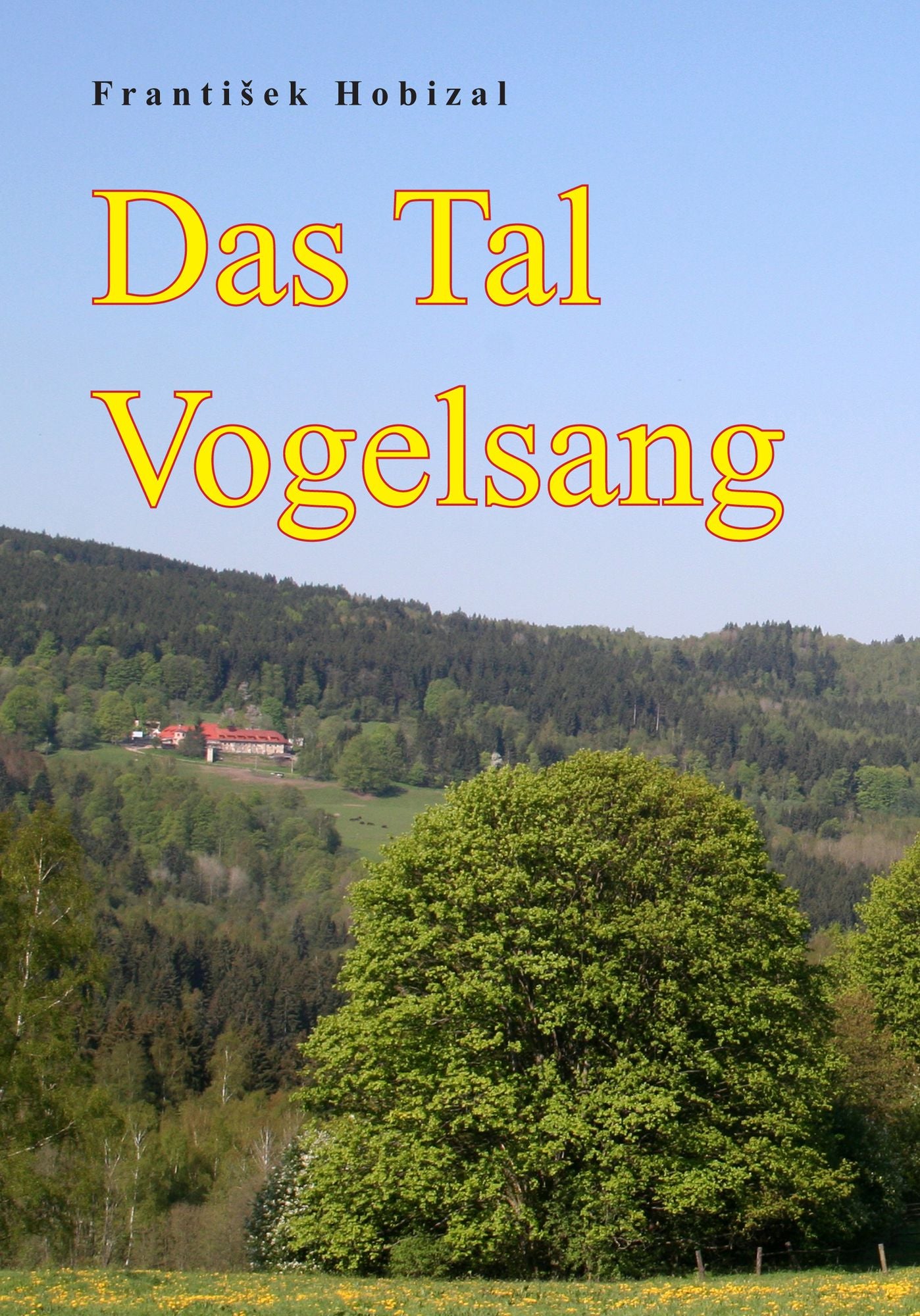 Das Tal Vogelsang: Eine Böhmerwaldnovelle aus der Nachkriegszeit