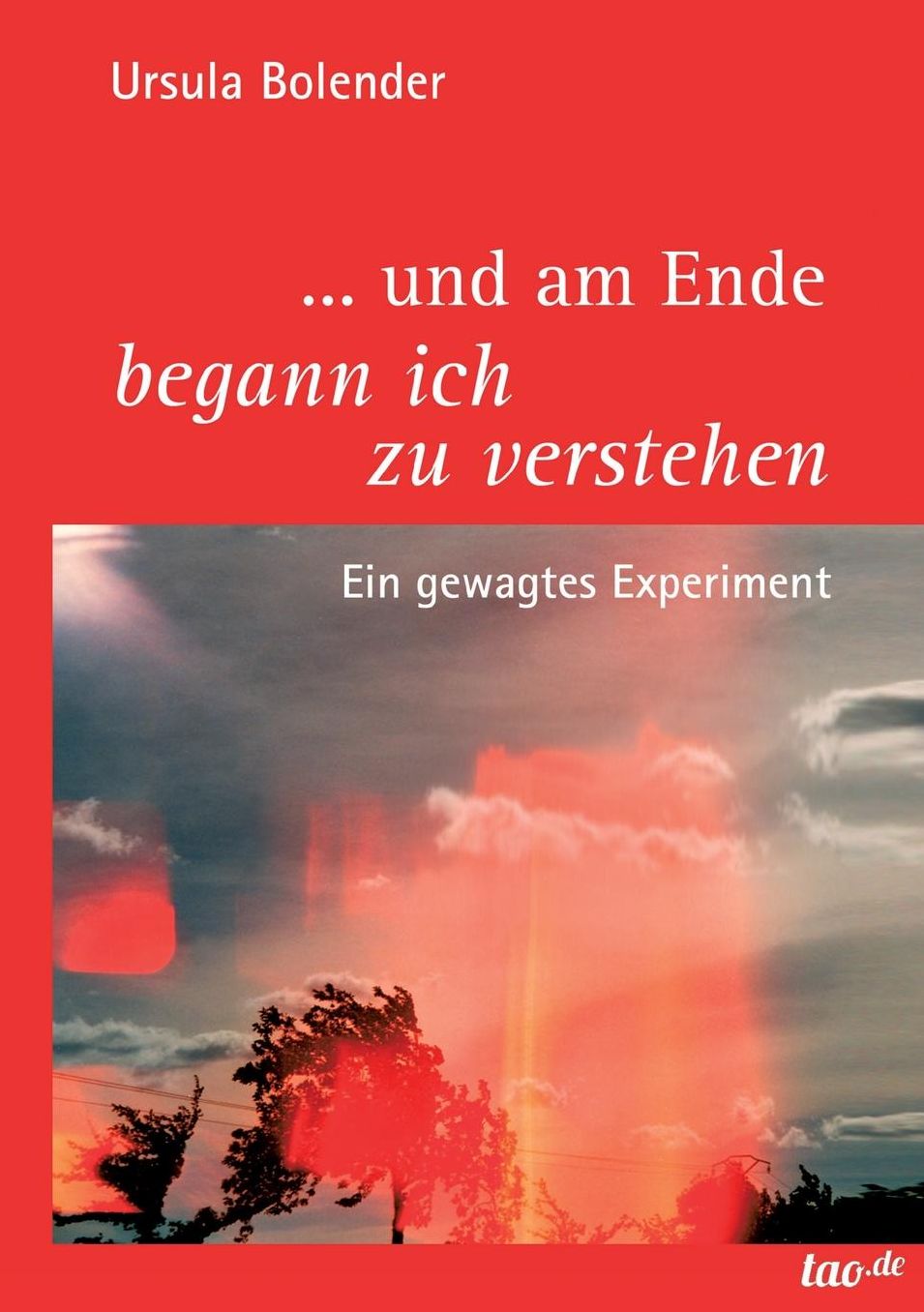... Und Am Ende Begann Ich Zu Verstehen