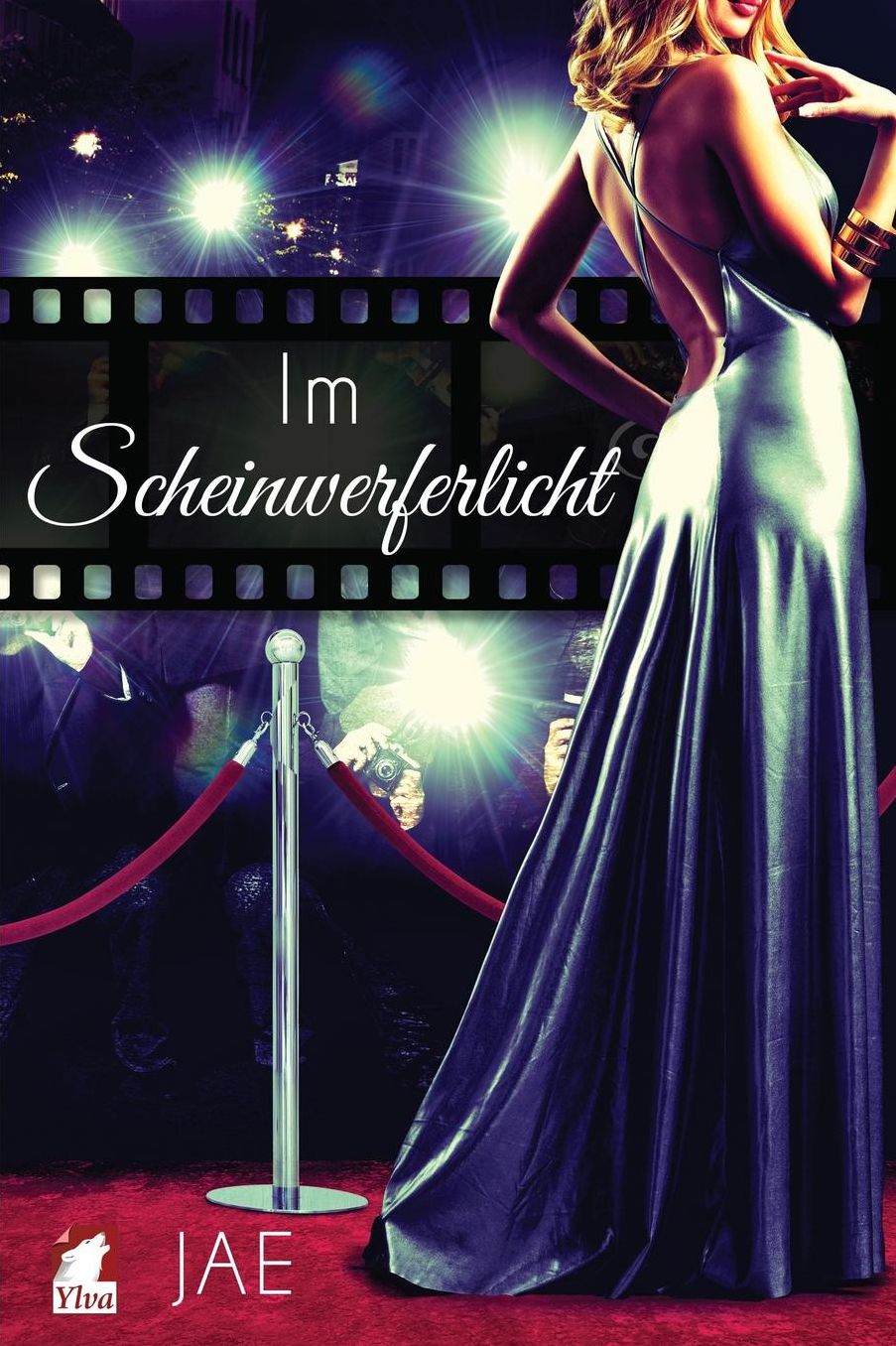 Im Scheinwerferlicht