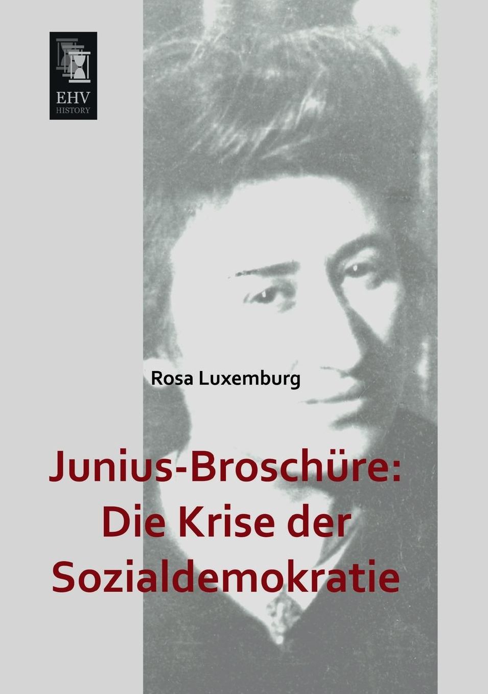 Junius-Broschure: Die Krise Der Sozialdemokratie