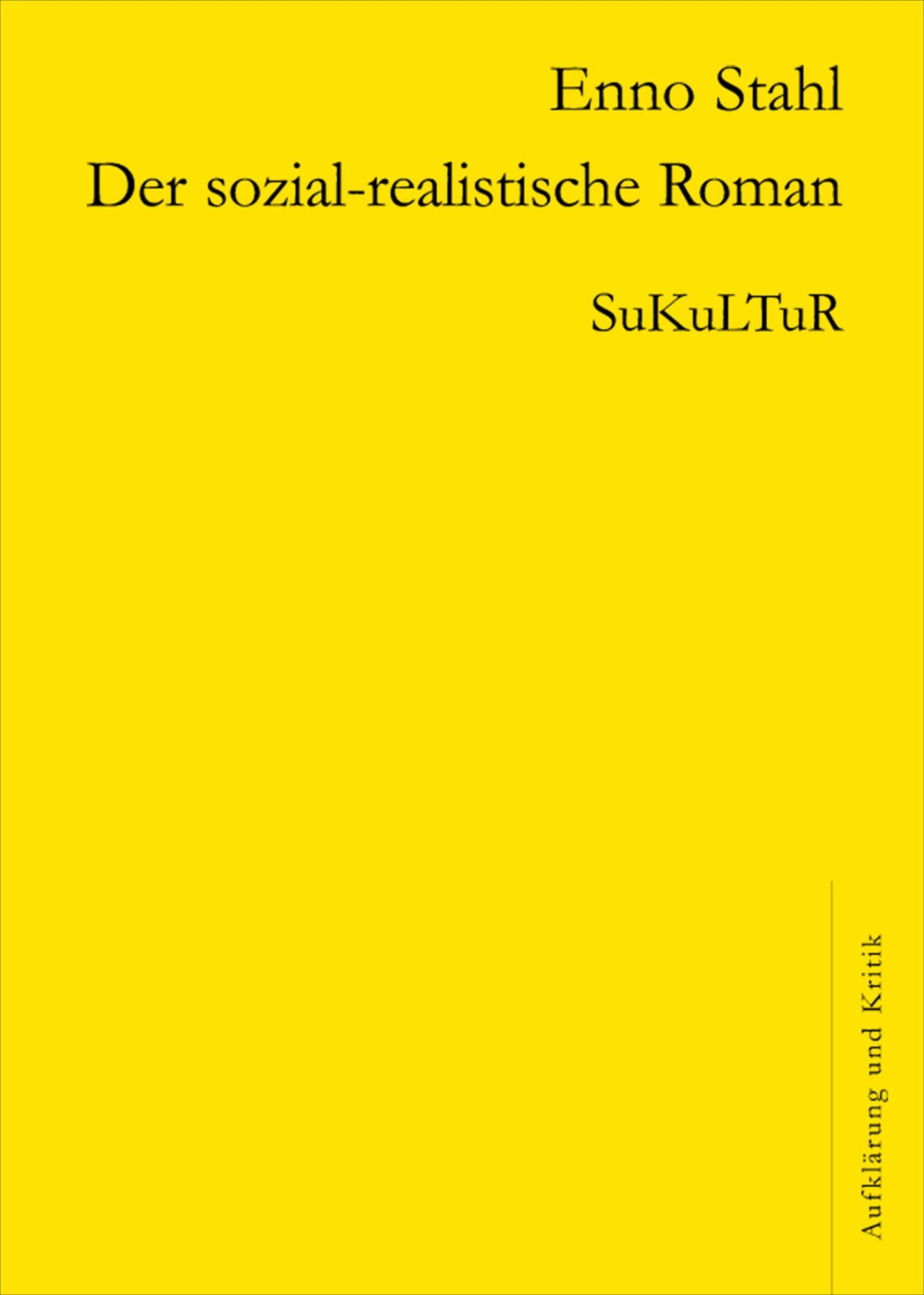 Der sozial-realistische Roman