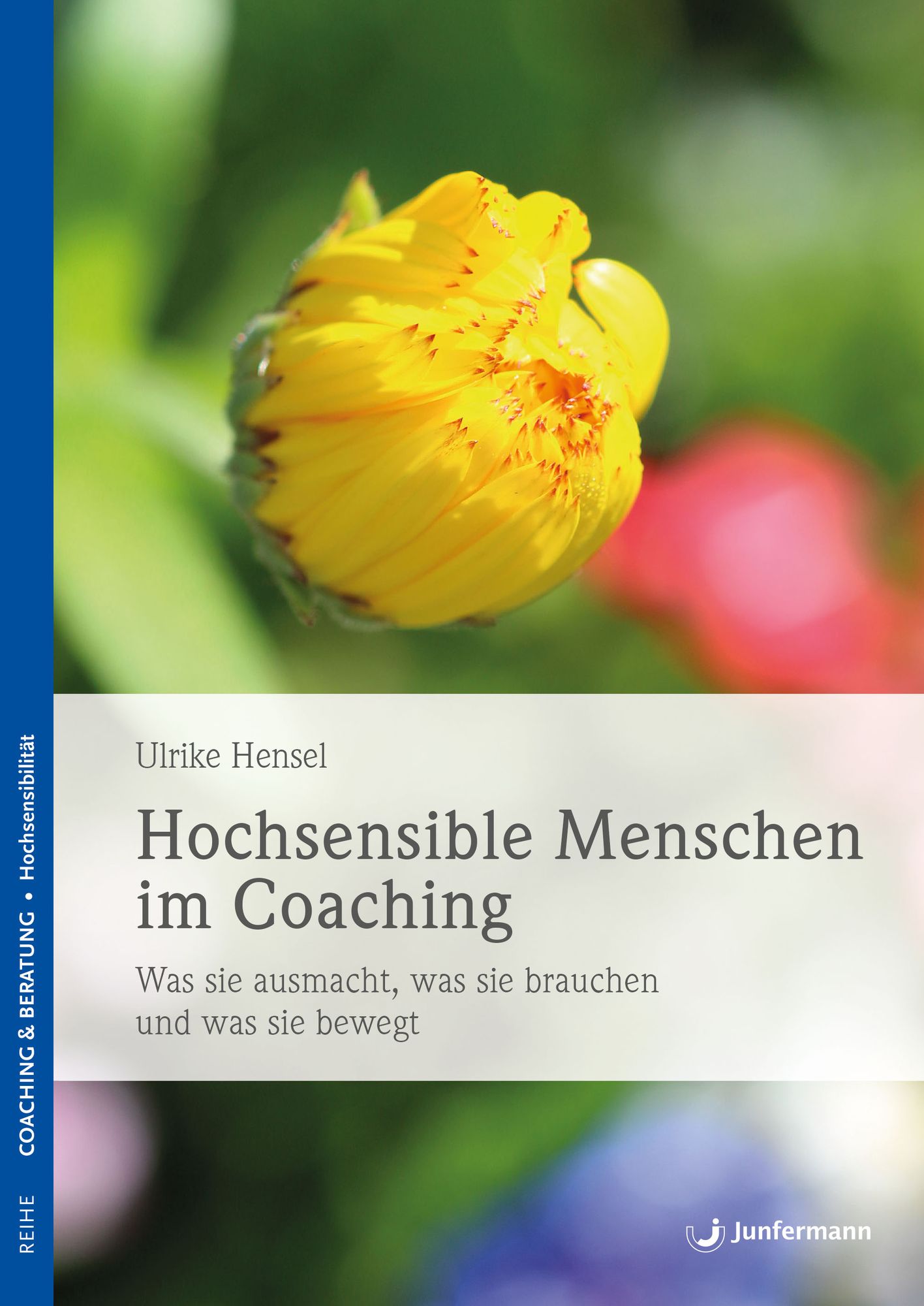 Hochsensible Menschen im Coaching: Was sie ausmacht, was sie brauchen und was sie bewegt