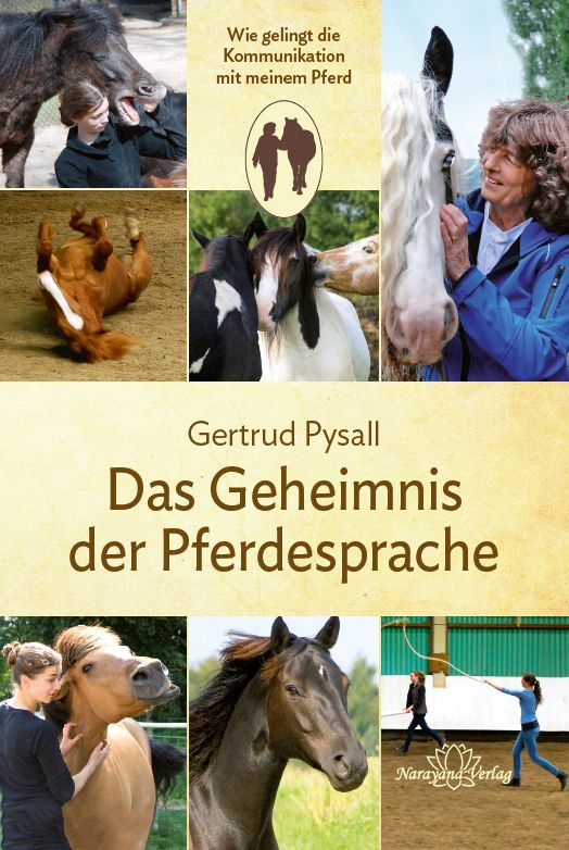 Das Geheimnis der Pferdesprache: Wie gelingt die Kommunikation mit meinem Pferd