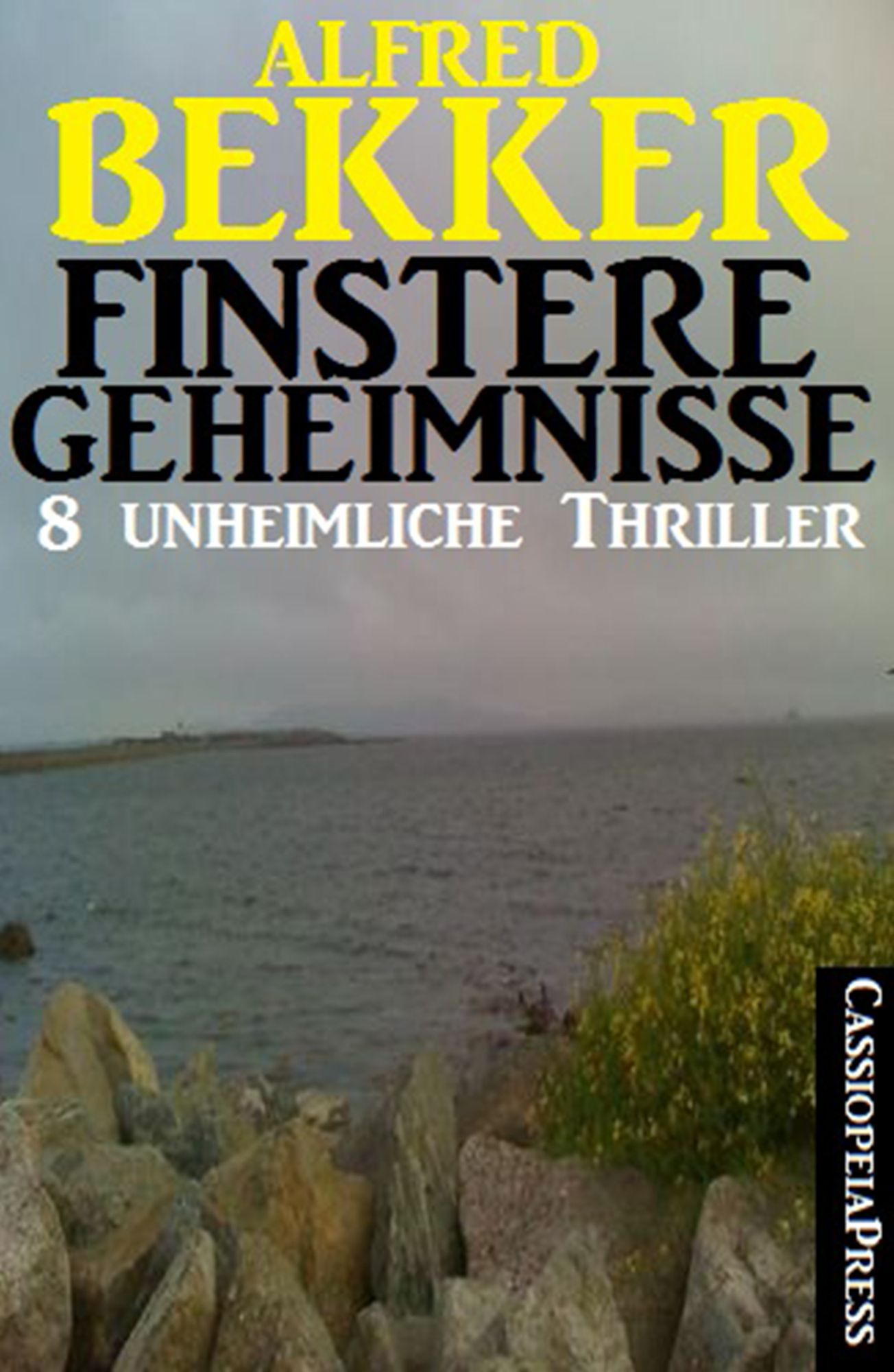 Finstere Geheimnisse - 8 unheimliche Thriller
