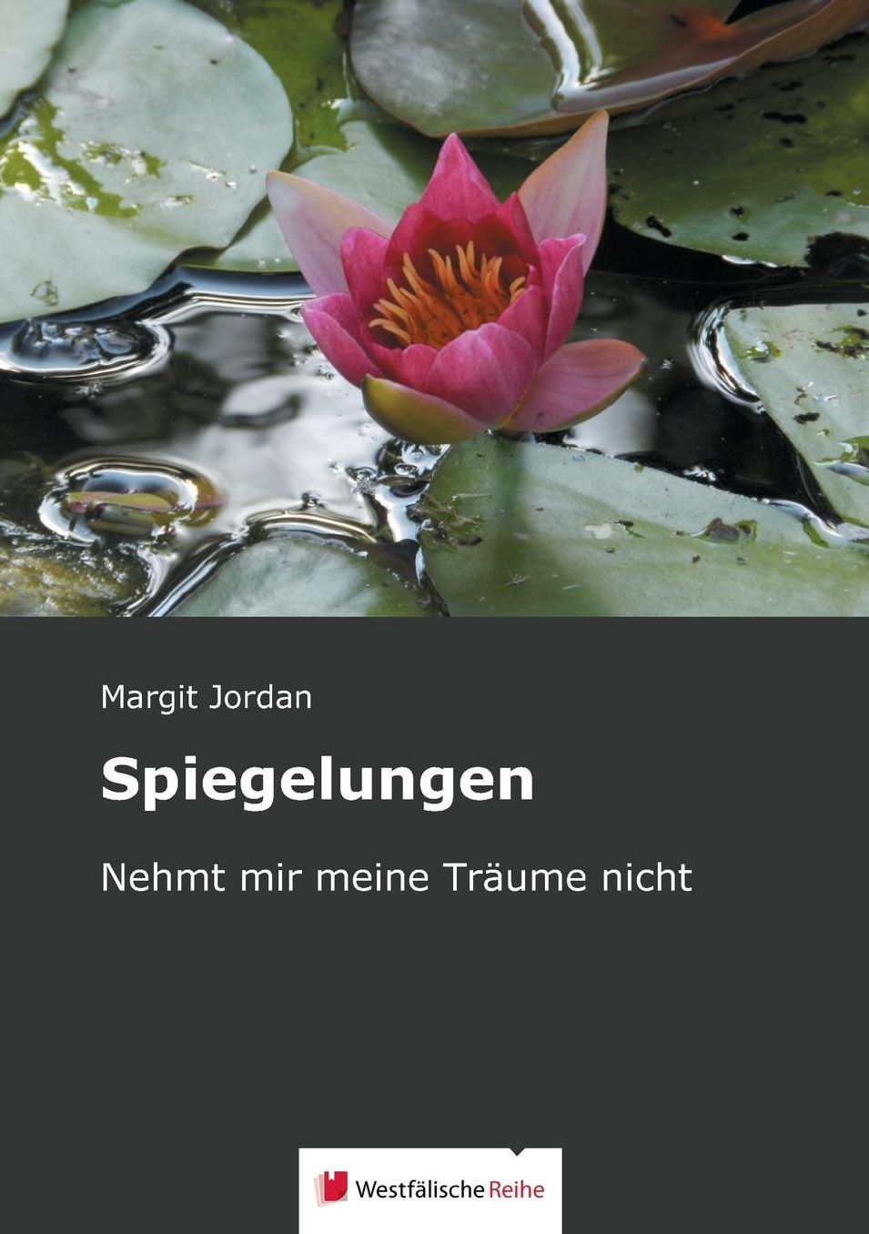 Spiegelungen