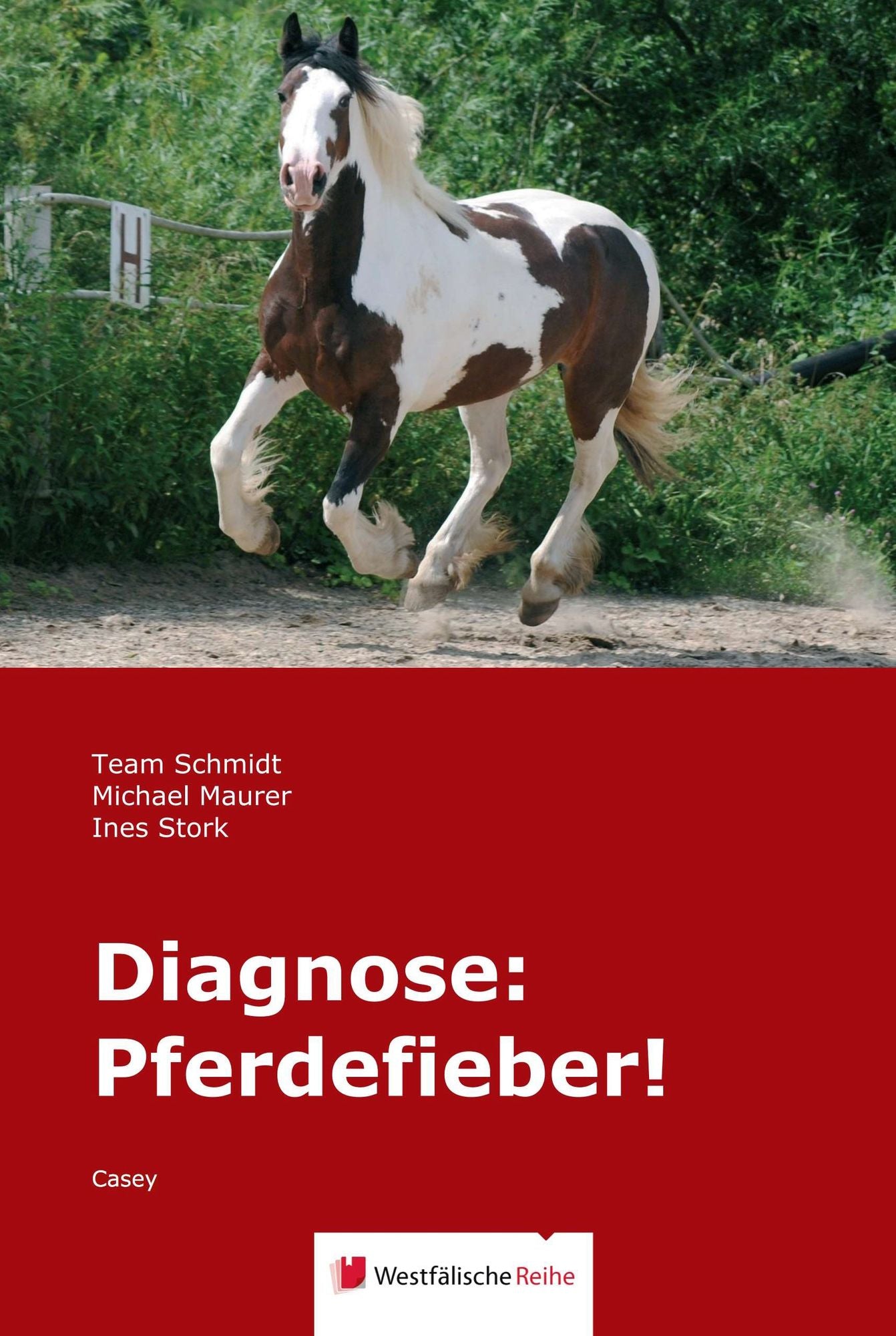 Diagnose: Pferdefieber!: Casey