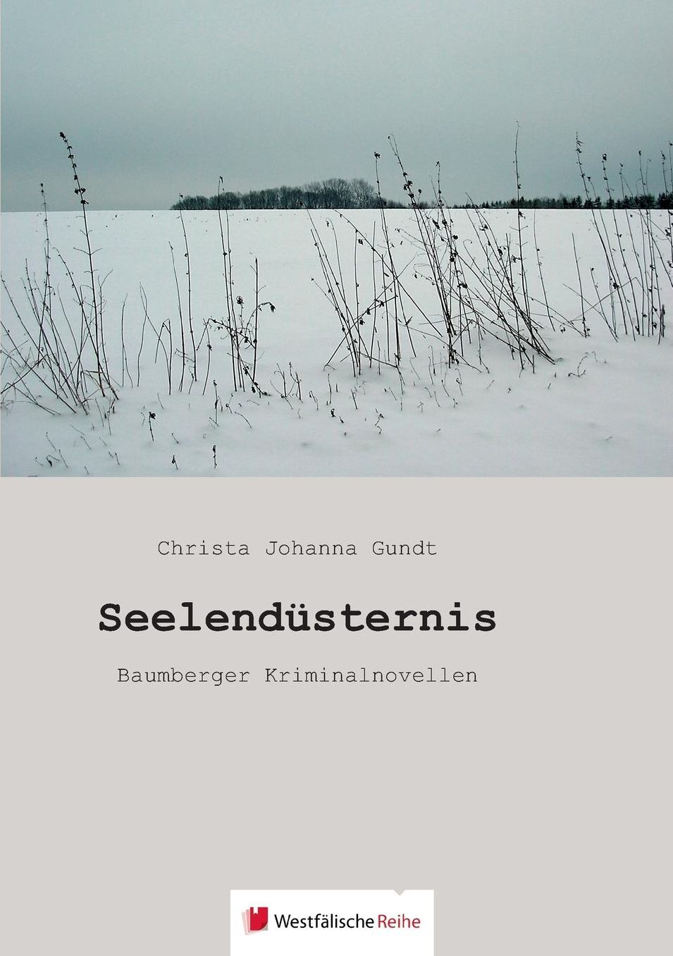 Seelenduuml;sternis