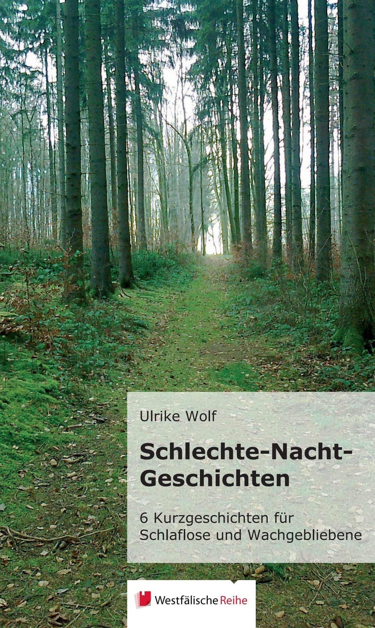 Schlechte-Nacht-Geschichten: 6 Kurzgeschichten für Schlaflose und Wachgebliebene