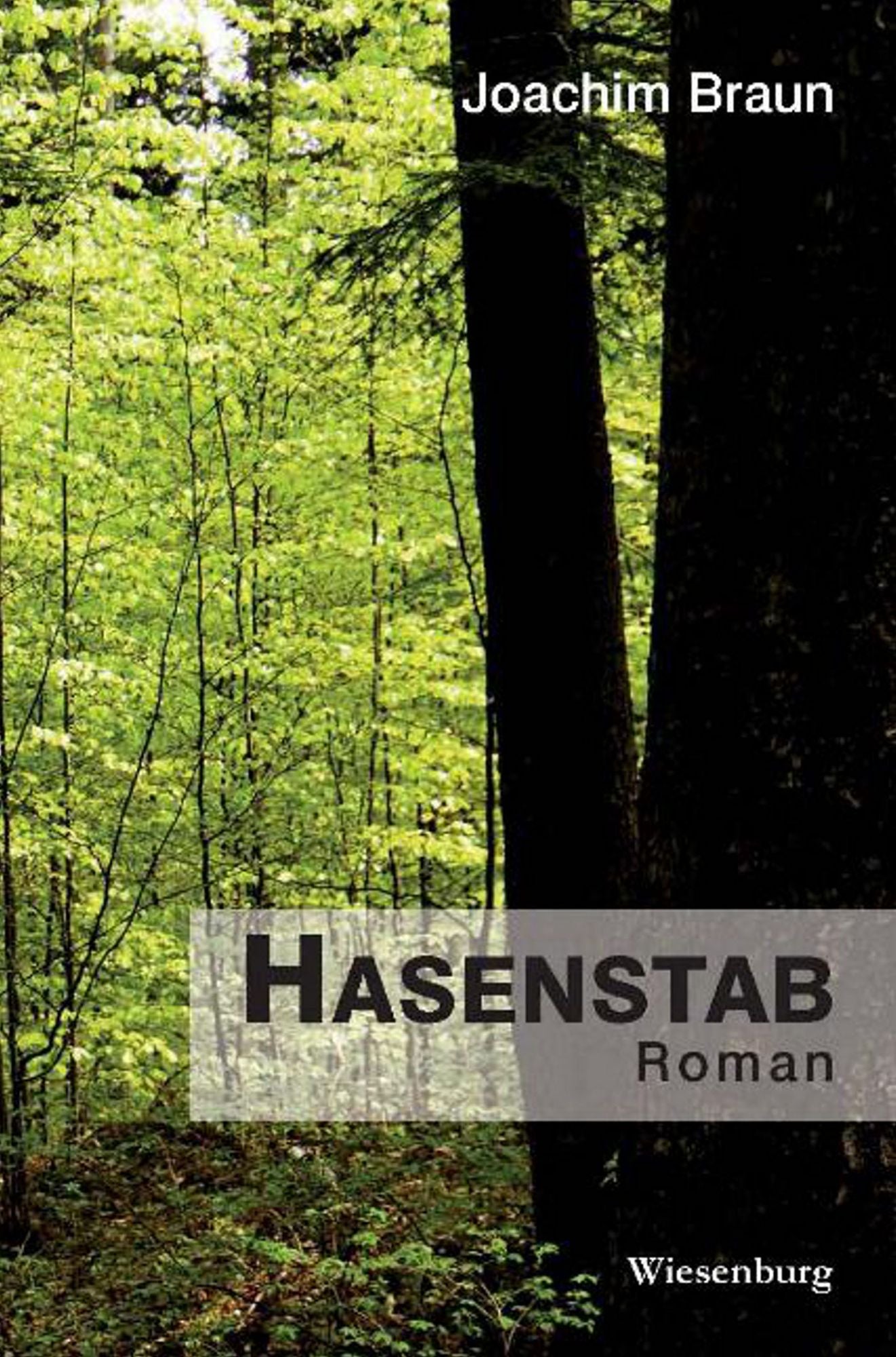 Hasenstab: Roman