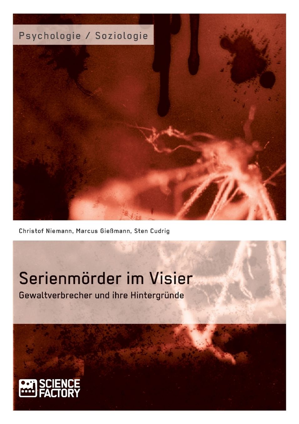 Serienmörder im Visier. Gewaltverbrecher und ihre Hintergründe