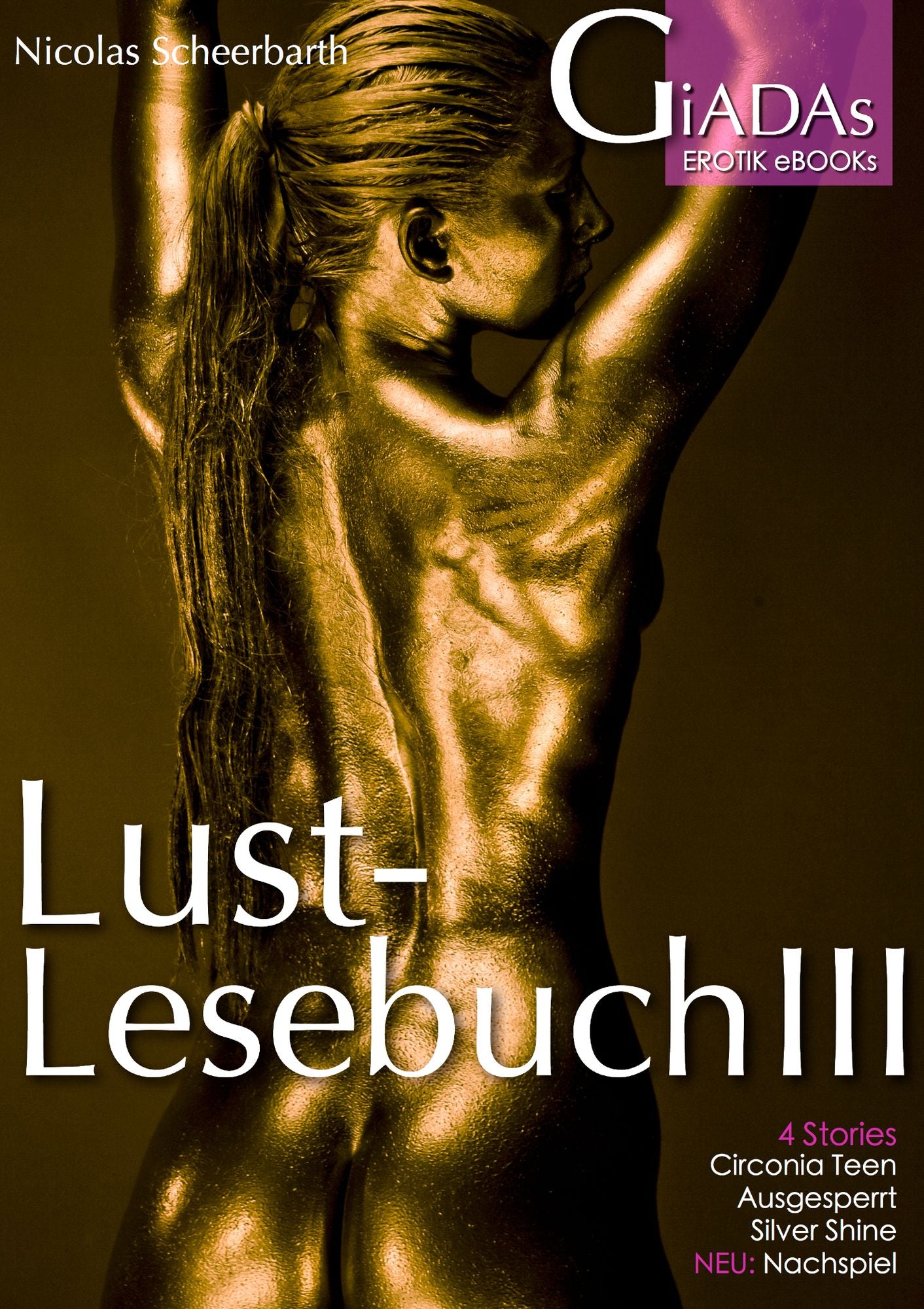 Lustlesebuch III: Circonia Teen, Ausgesperrt, Silver Shine, Nachspiel