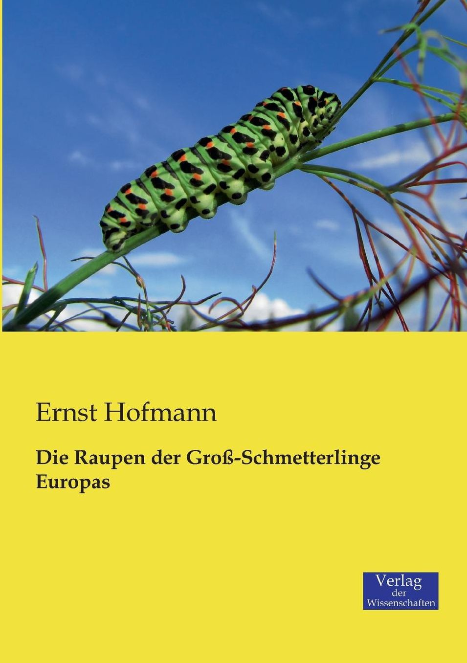 Die Raupen Der Gross-Schmetterlinge Europas