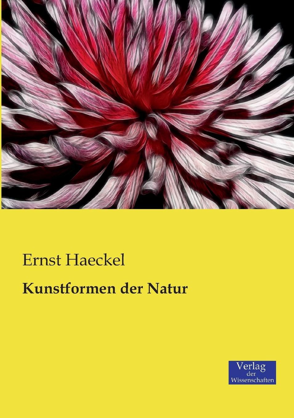 Kunstformen Der Natur
