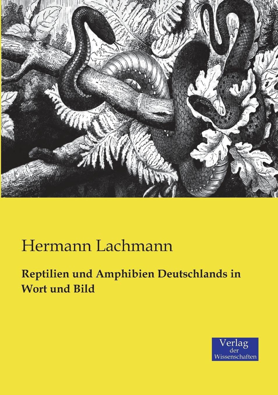 Reptilien Und Amphibien Deutschlands in Wort Und Bild