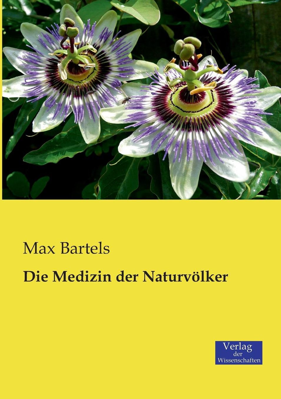 Die Medizin Der Naturvolker