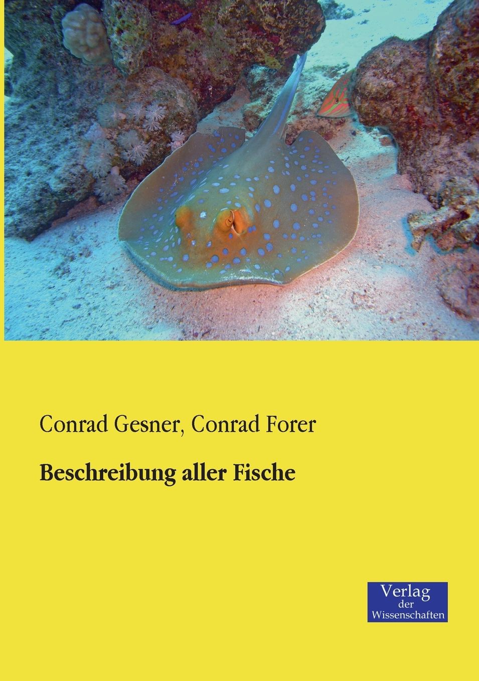 Beschreibung Aller Fische