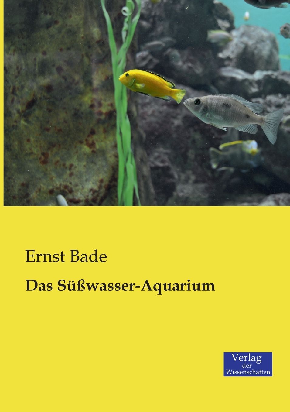 Das S wasser-Aquarium