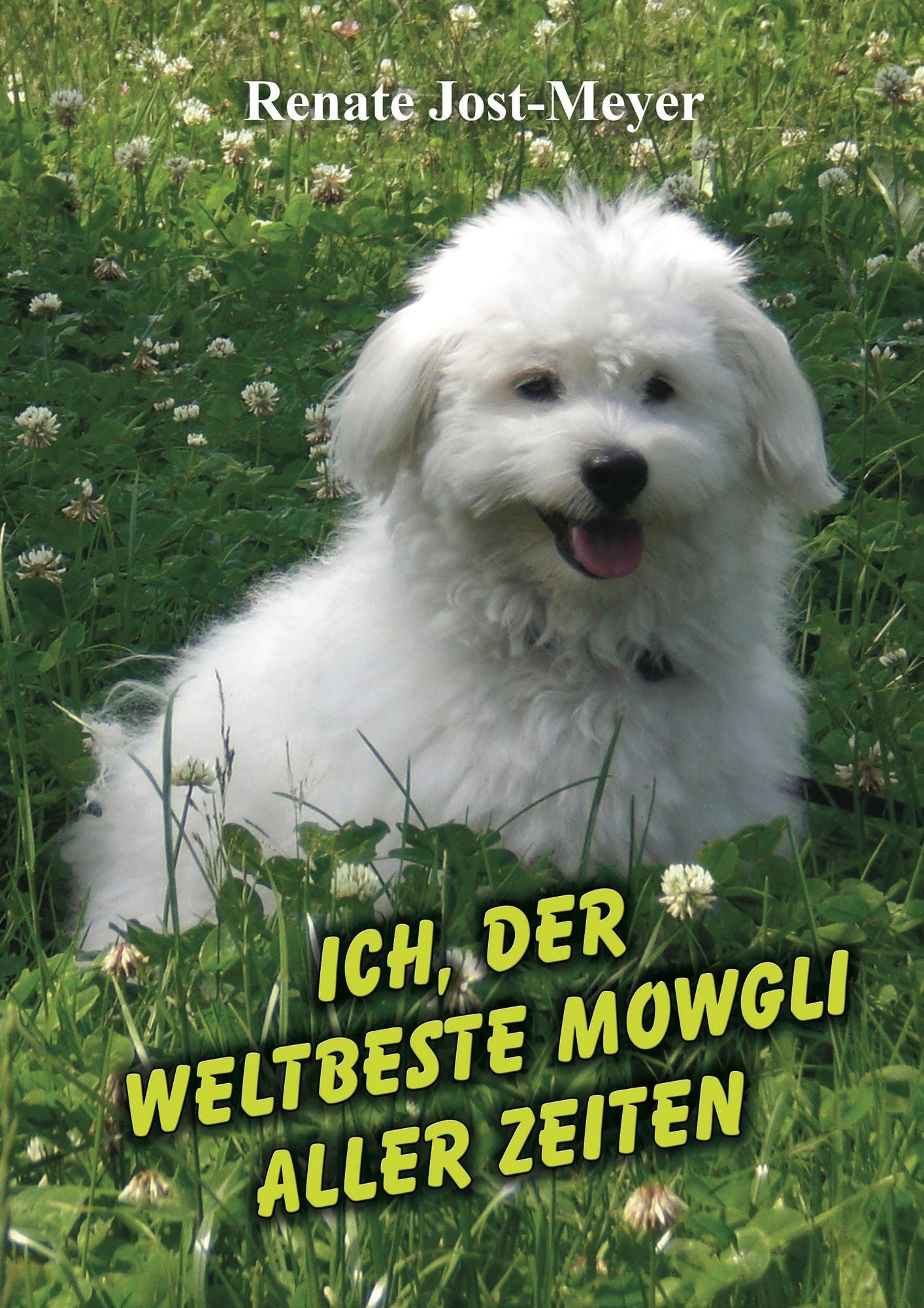 Ich, der weltbeste Mowgli aller Zeiten: Eine Erzählung nicht nur für Kinder