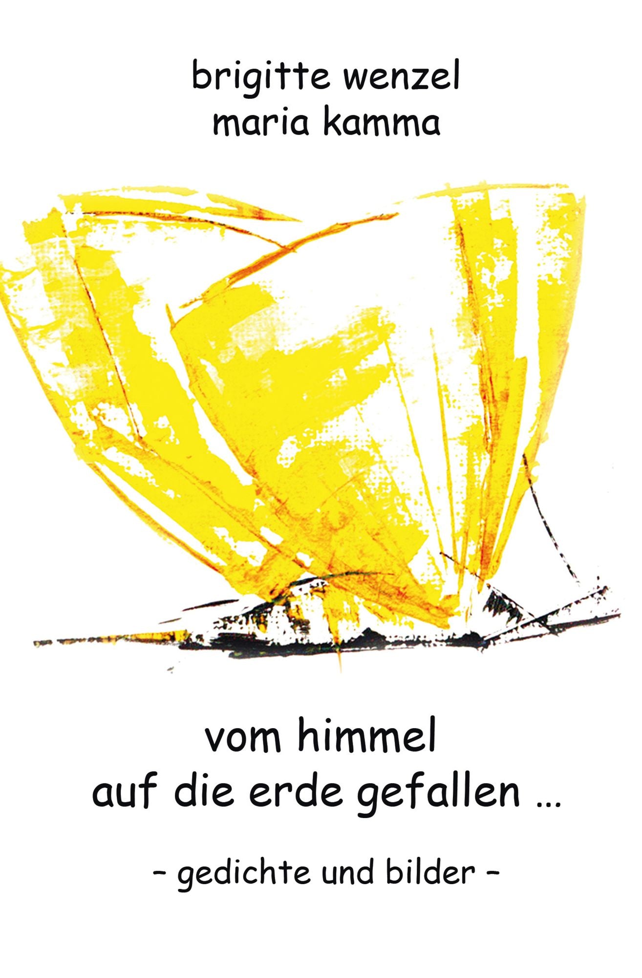 vom himmel auf die erde gefallen: geschichten und bilder
