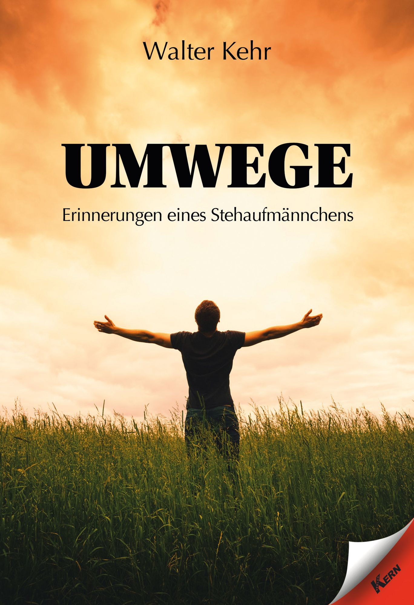 Umwege: Erinnerungen eines Stehaufmännchens