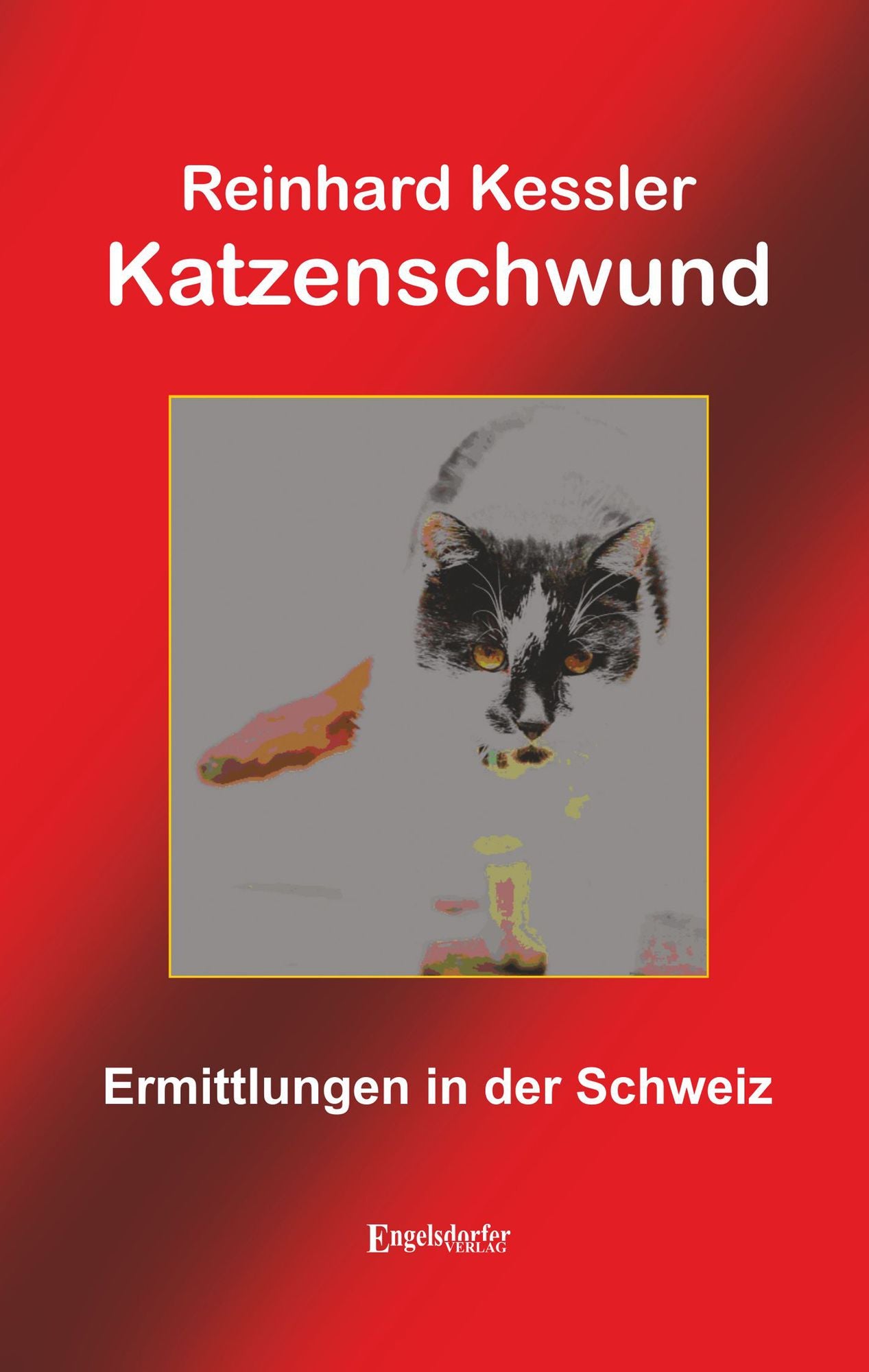 Katzenschwund: Ermittlungen in der Schweiz