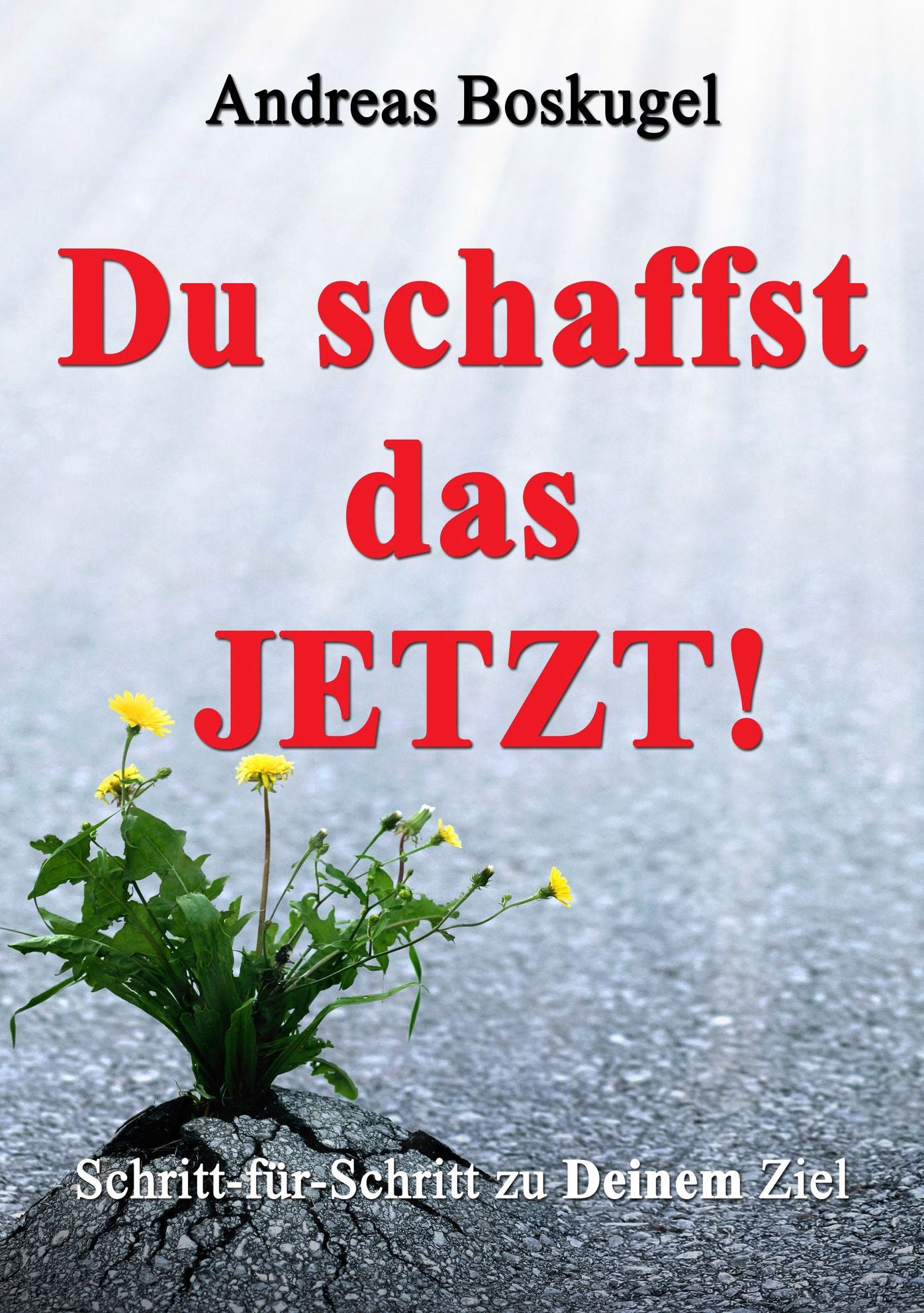 DU schaffst das JETZT!: Schritt-für-Schritt zu Deinem Ziel