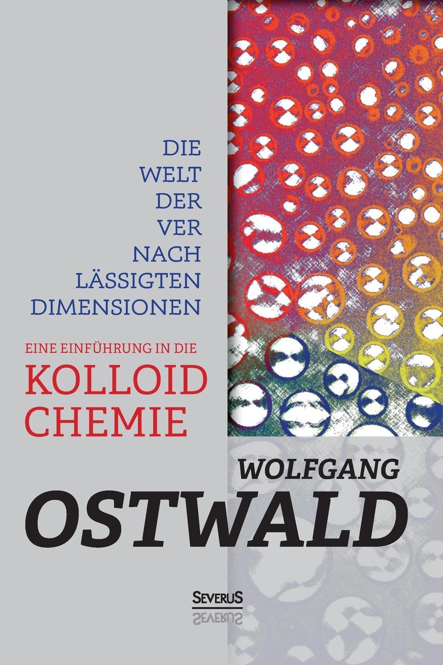 Die Welt der vernachl ssigten Dimensionen: Eine Einf hrung in die Kolloidchemie