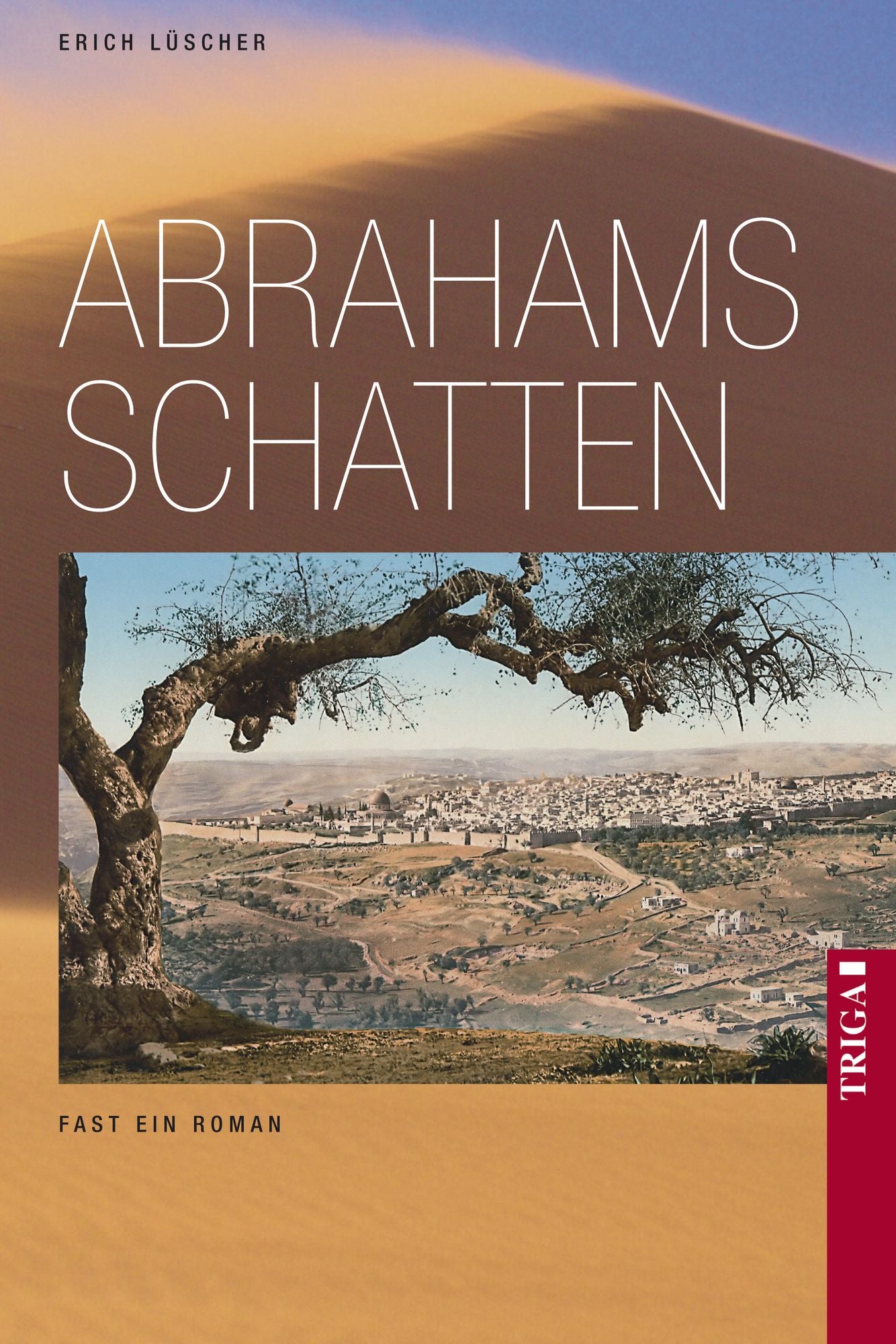Abrahams Schatten: Fast ein Roman