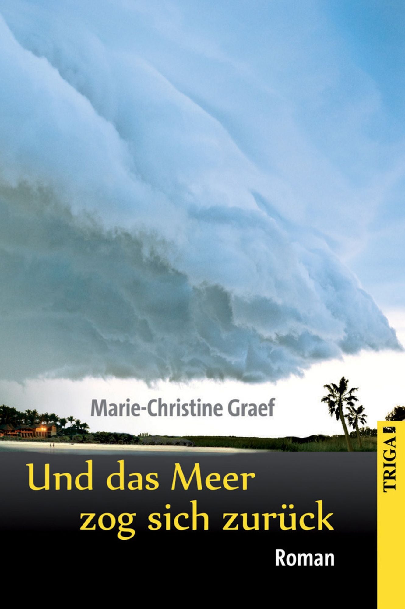 Und das Meer zog sich zurück: Erinnerungen an den Tsunami