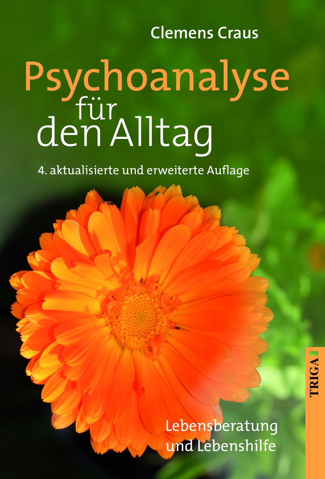 Psychoanalyse für den Alltag: Lebensberatung und Lebenshilfe