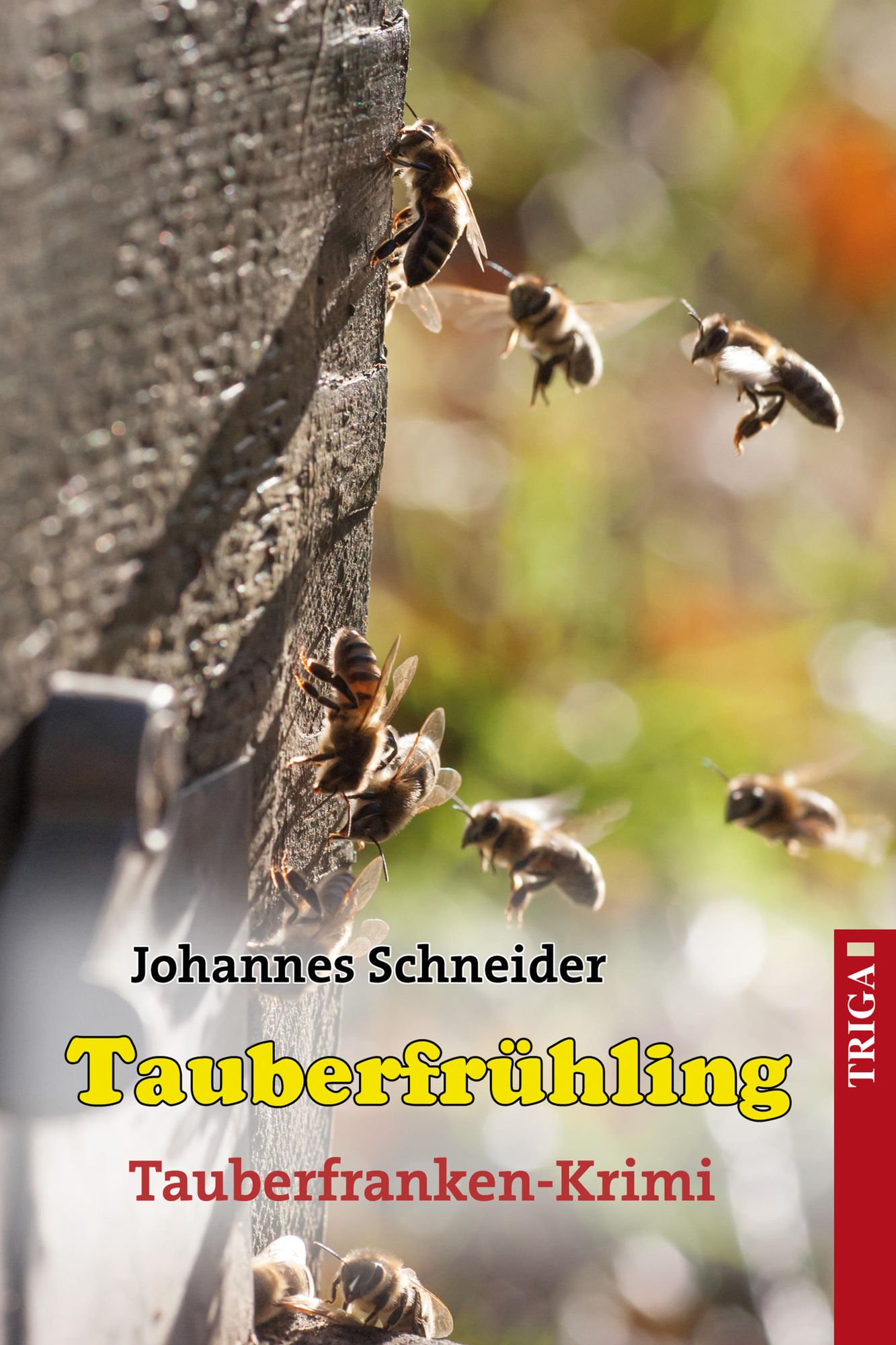 Tauberfrühling: Tauberfrankenkrimi