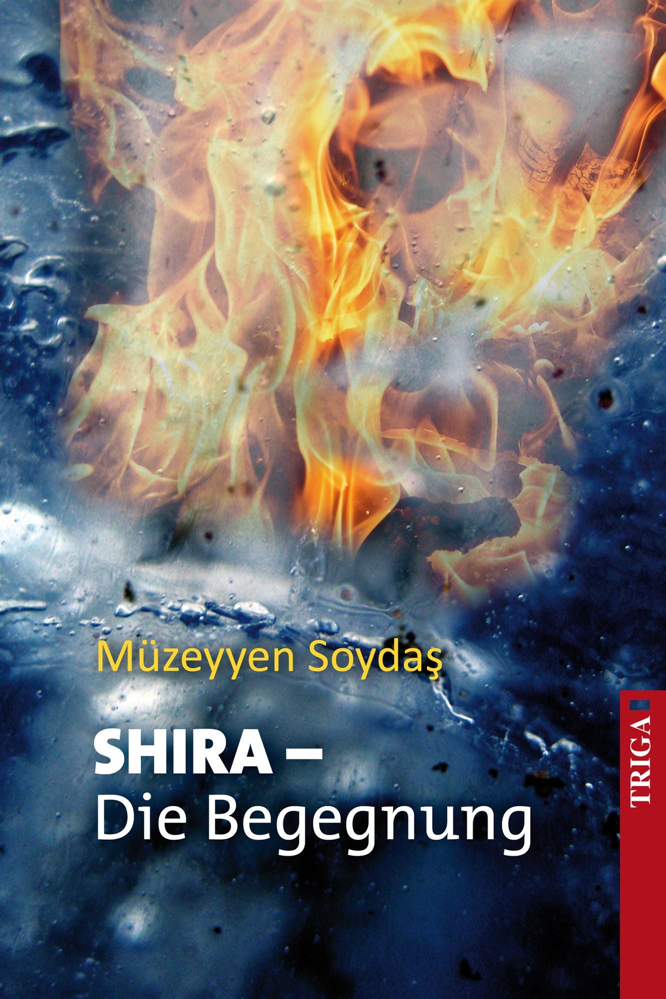 SHIRA - Die Begegnung: Fantasy-Roman