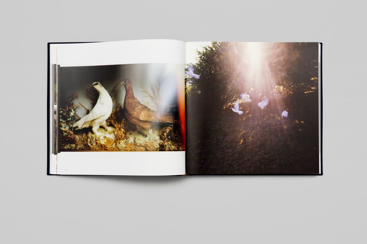 Nan Goldin: Diving for Pearls