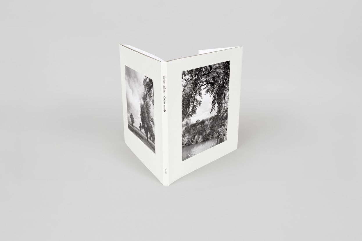 Robert Adams: Cottonwoods