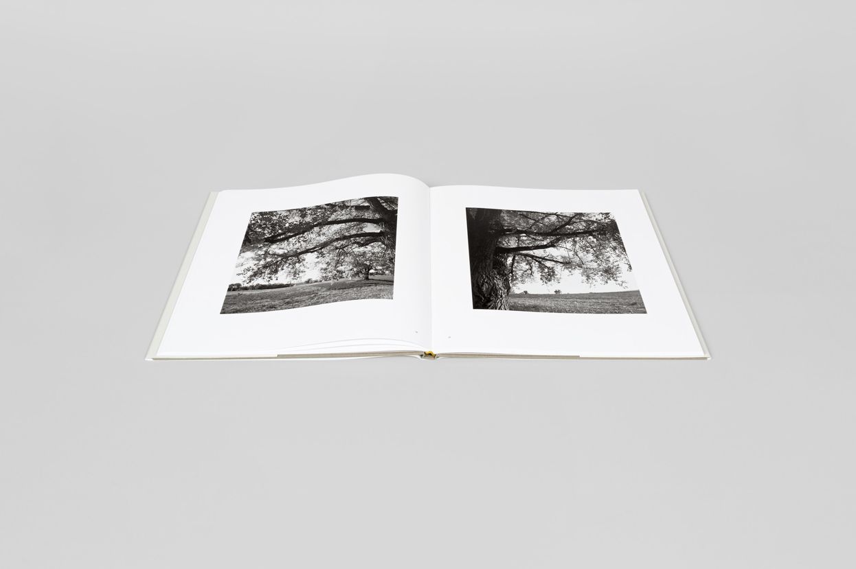 Robert Adams: Cottonwoods