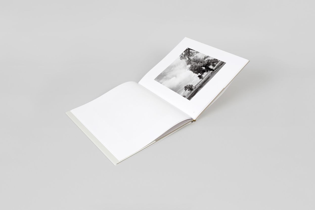 Robert Adams: Cottonwoods