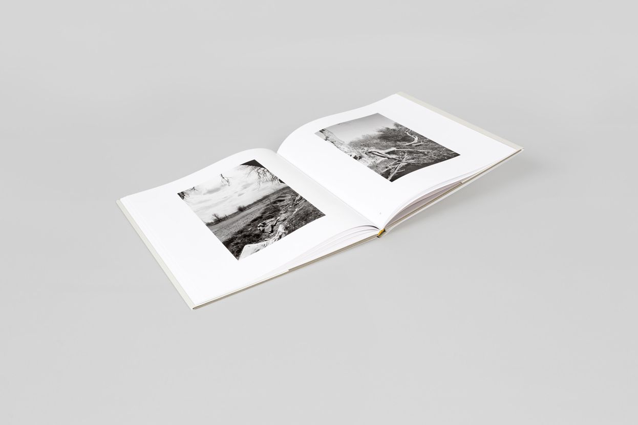 Robert Adams: Cottonwoods